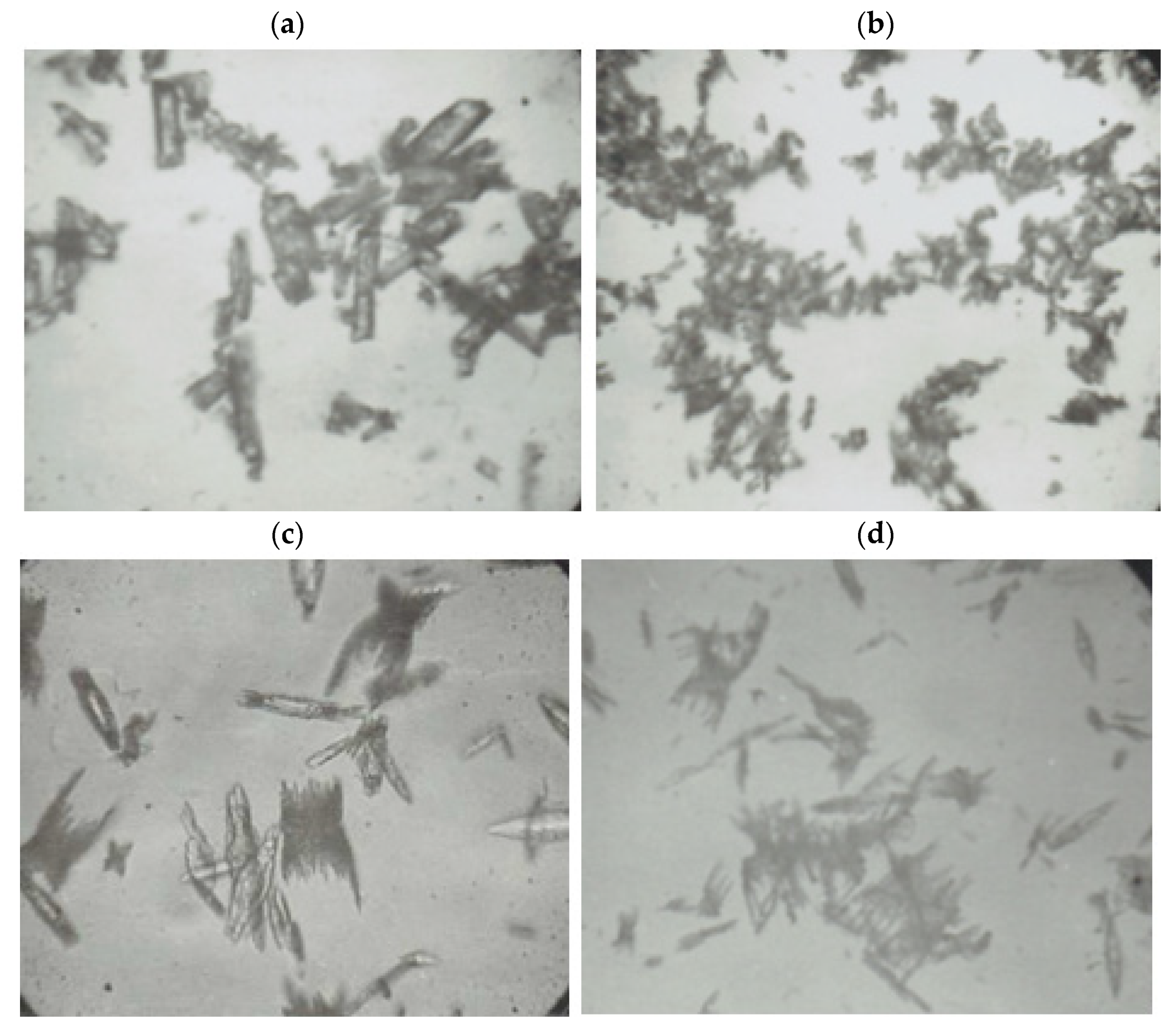 Materials 14 02818 g007 550