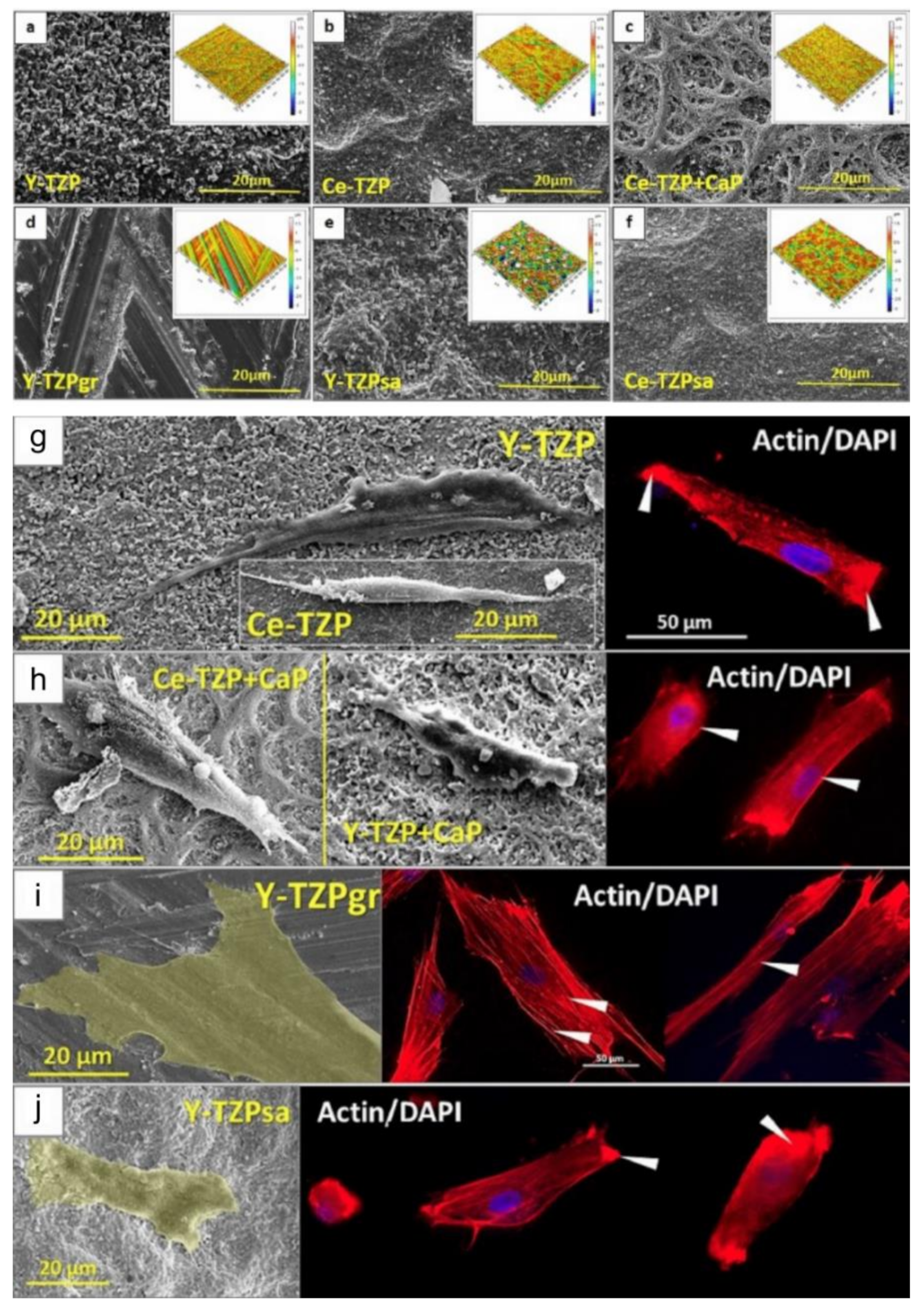 Materials 14 02825 g003 Materials 14 02825 g003