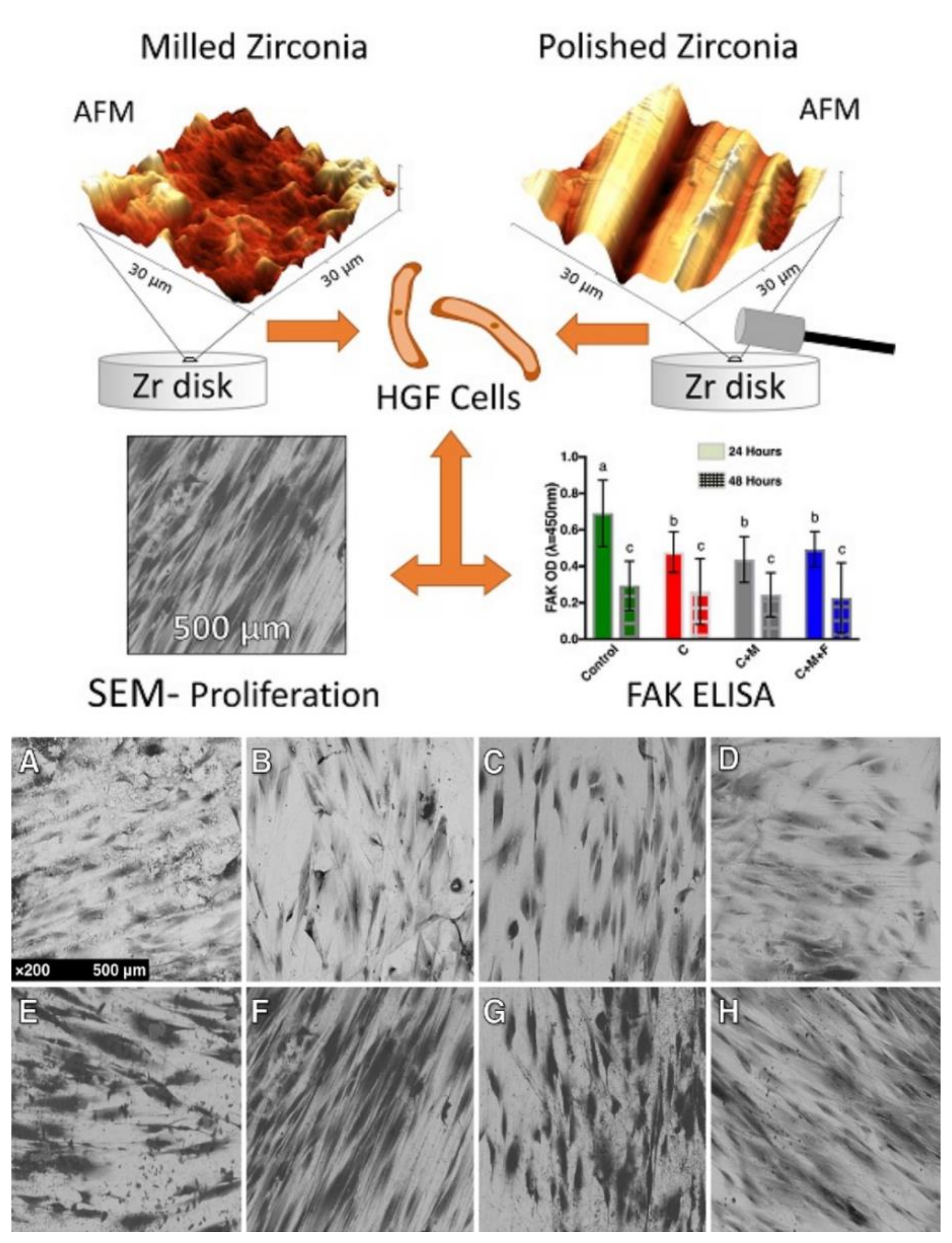 Materials 14 02825 g004 Materials 14 02825 g004