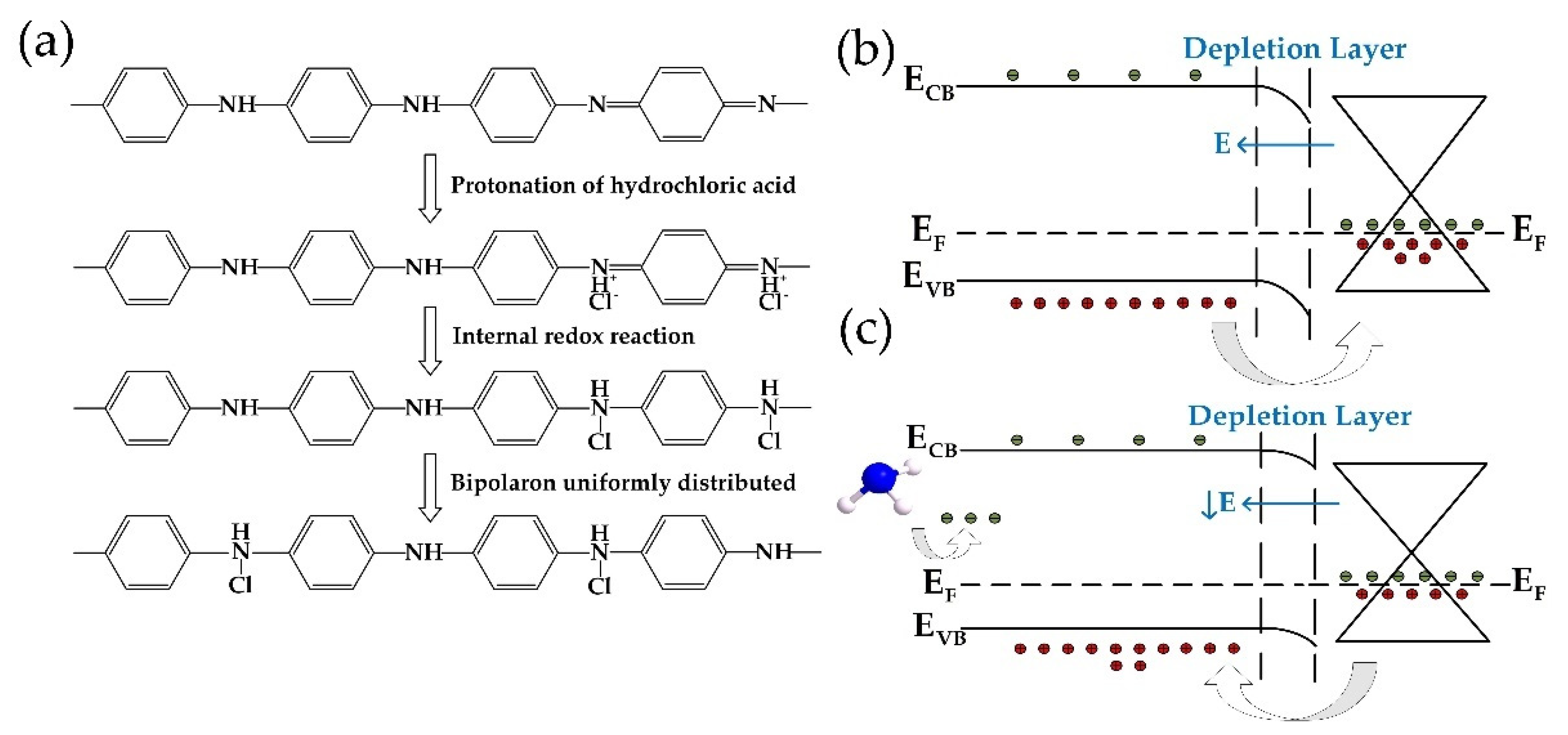 Materials 14 02829 g007