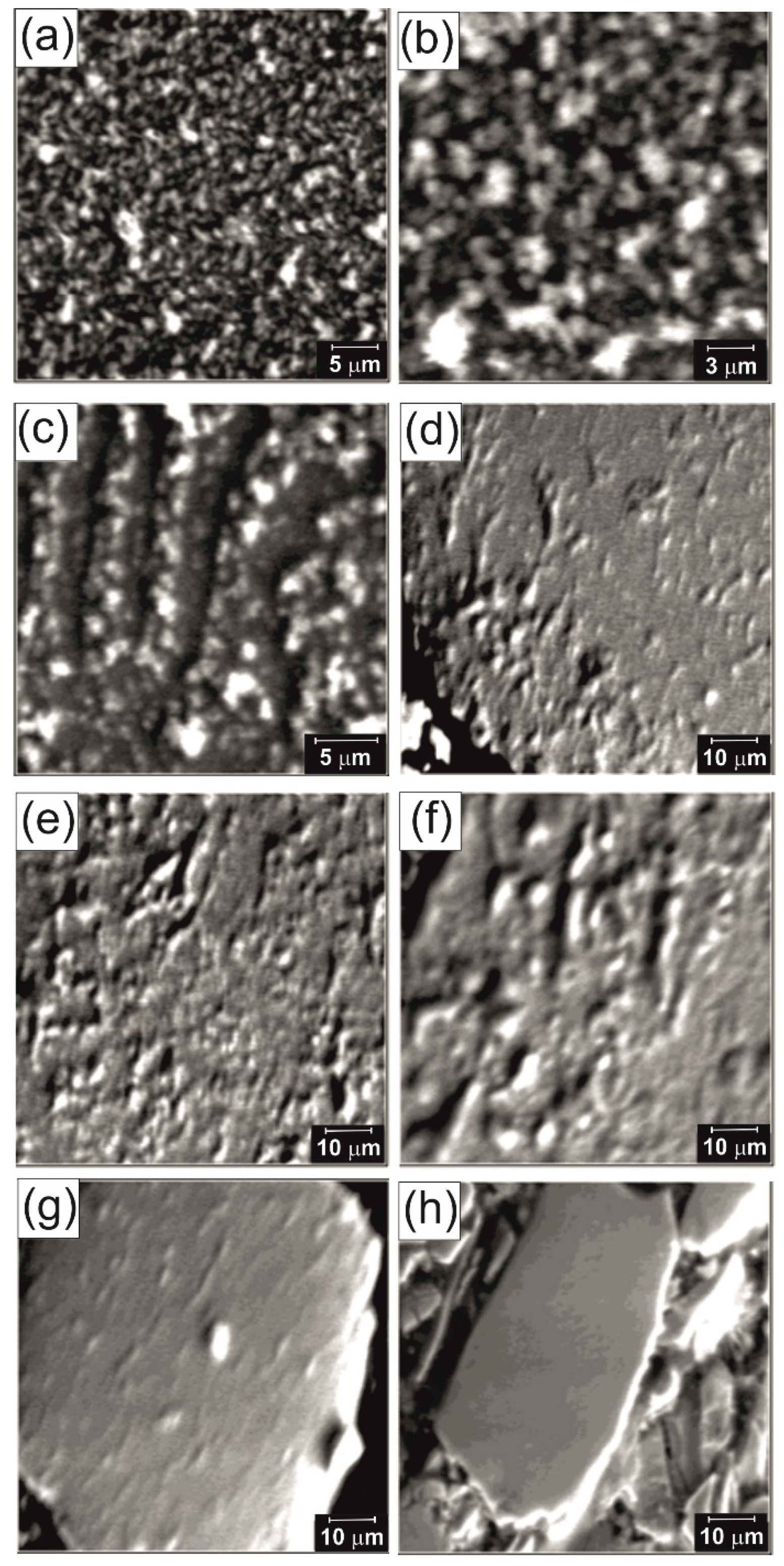 Materials 14 02849 g012