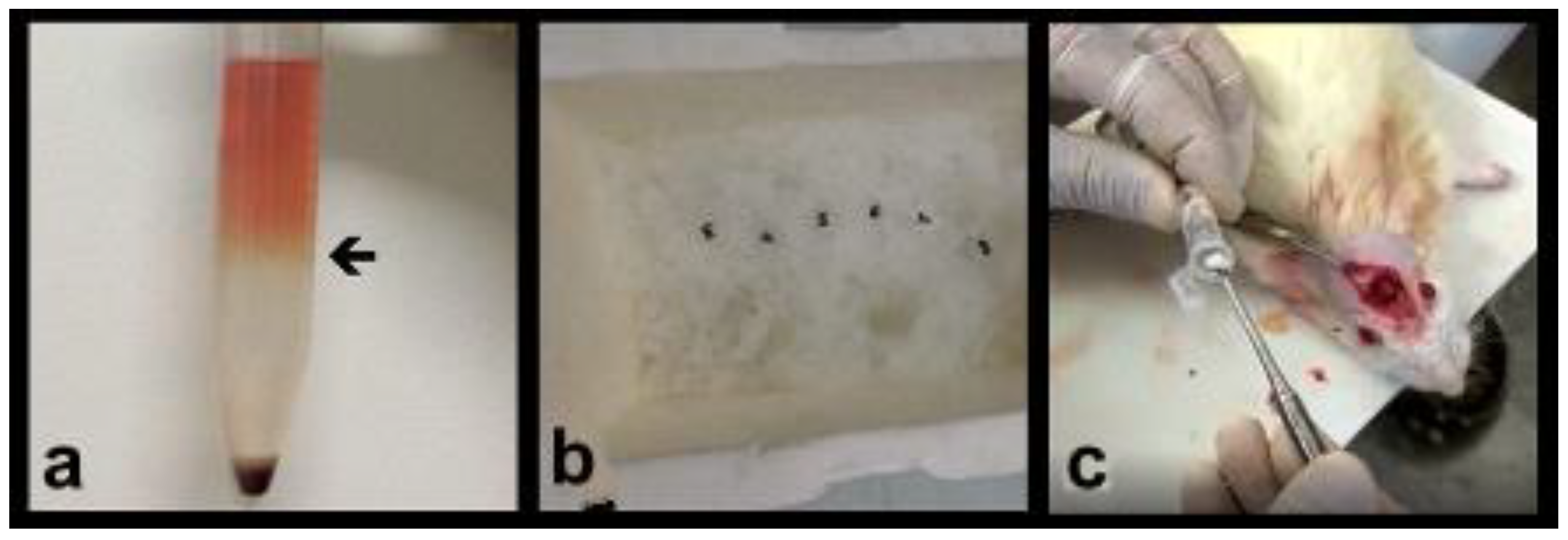 Materials 14 02854 g001 Materials 14 02854 g001