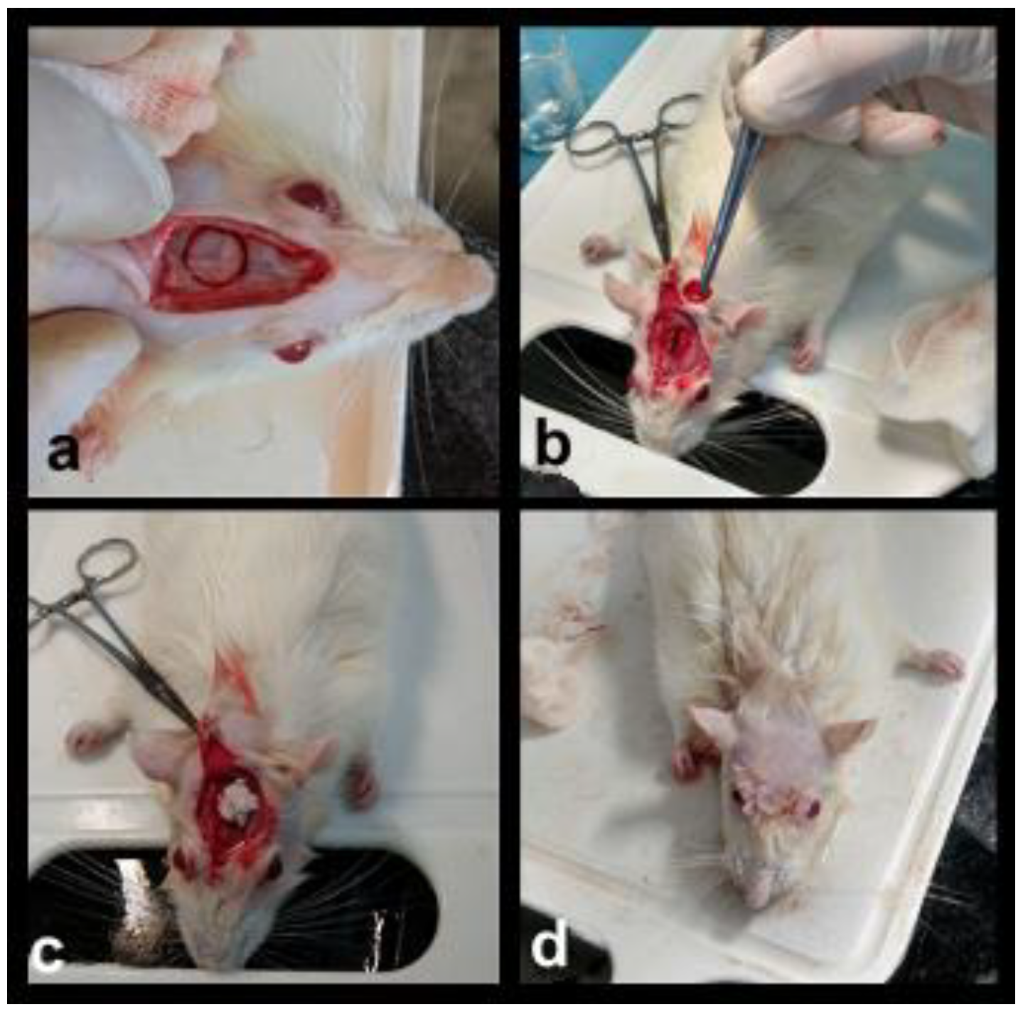 Materials 14 02854 g002 Materials 14 02854 g002