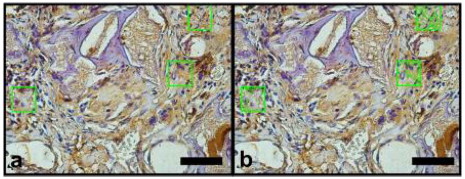 Materials 14 02854 g004 Materials 14 02854 g004