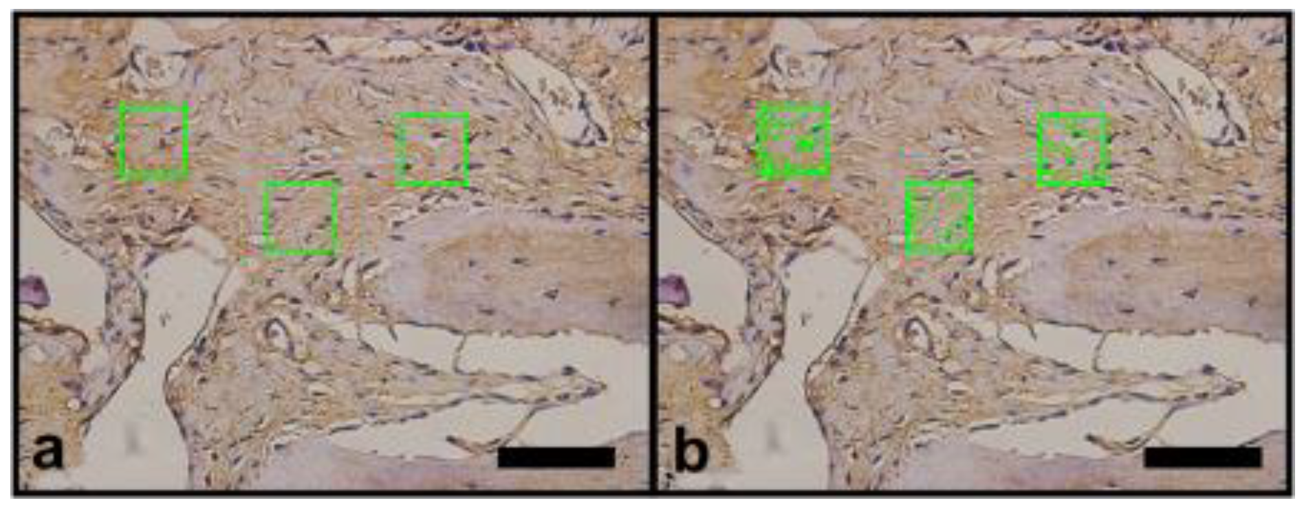 Materials 14 02854 g005 Materials 14 02854 g005