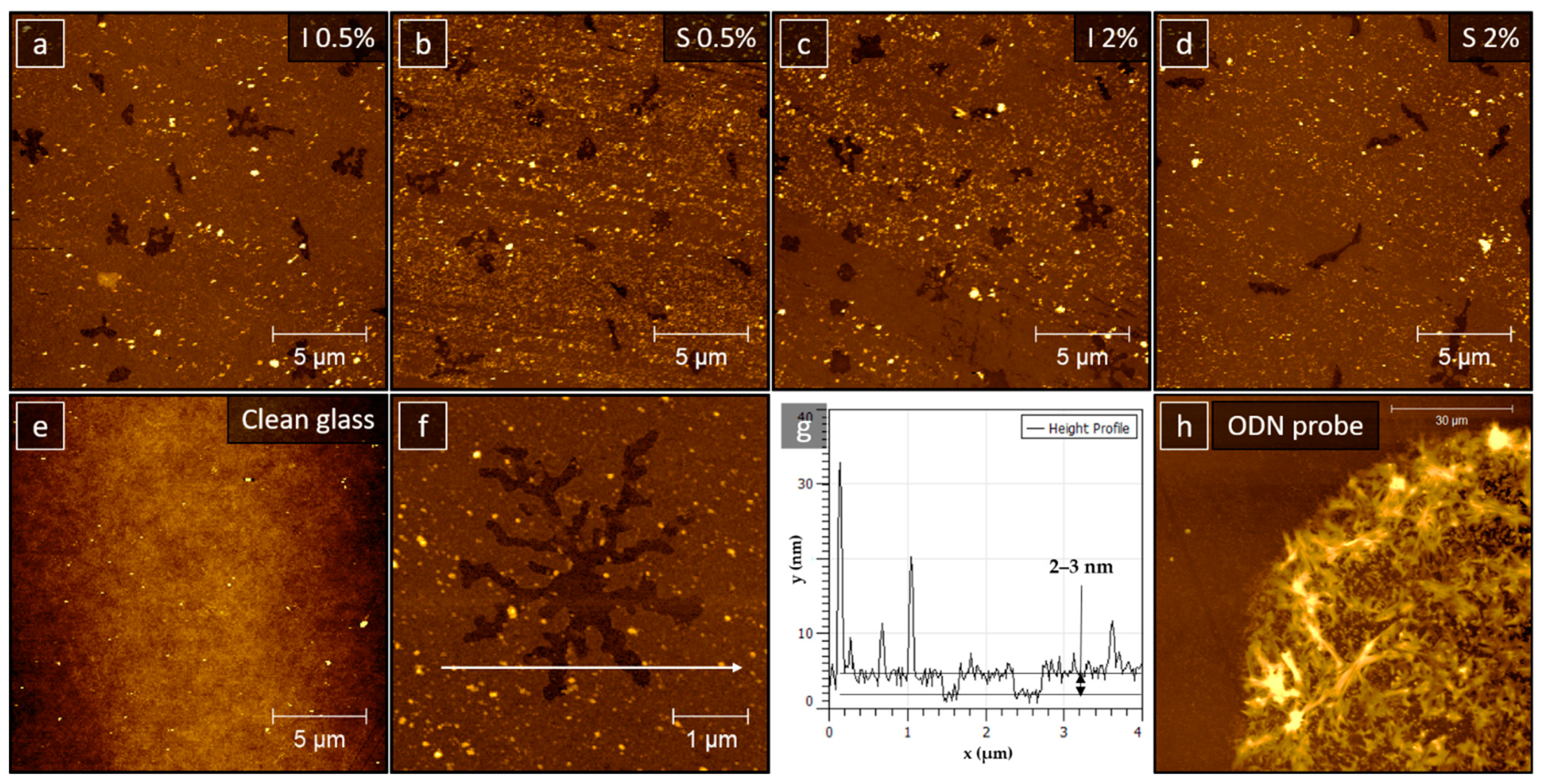 Materials 14 02855 g004