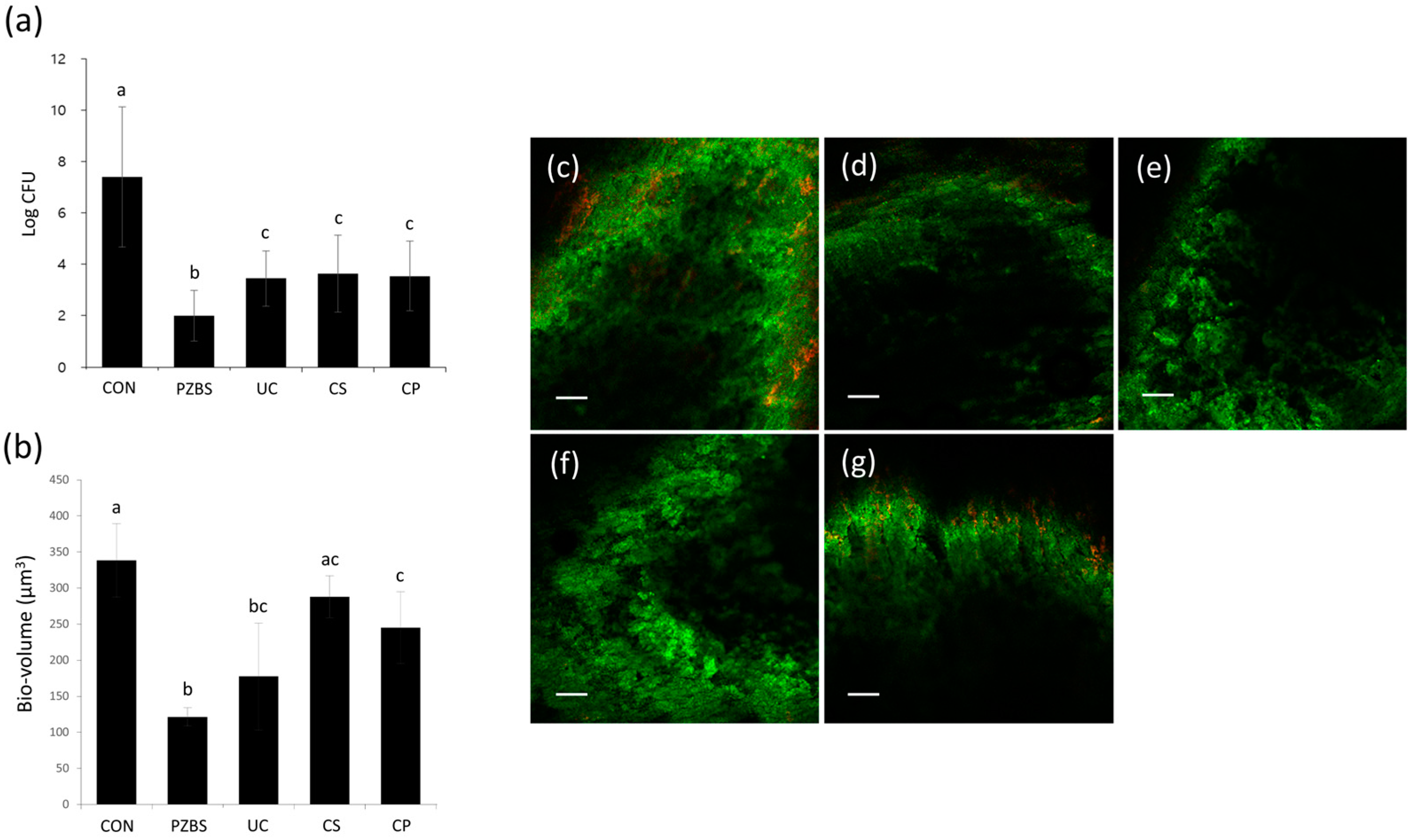 Materials 14 02863 g002 Materials 14 02863 g002