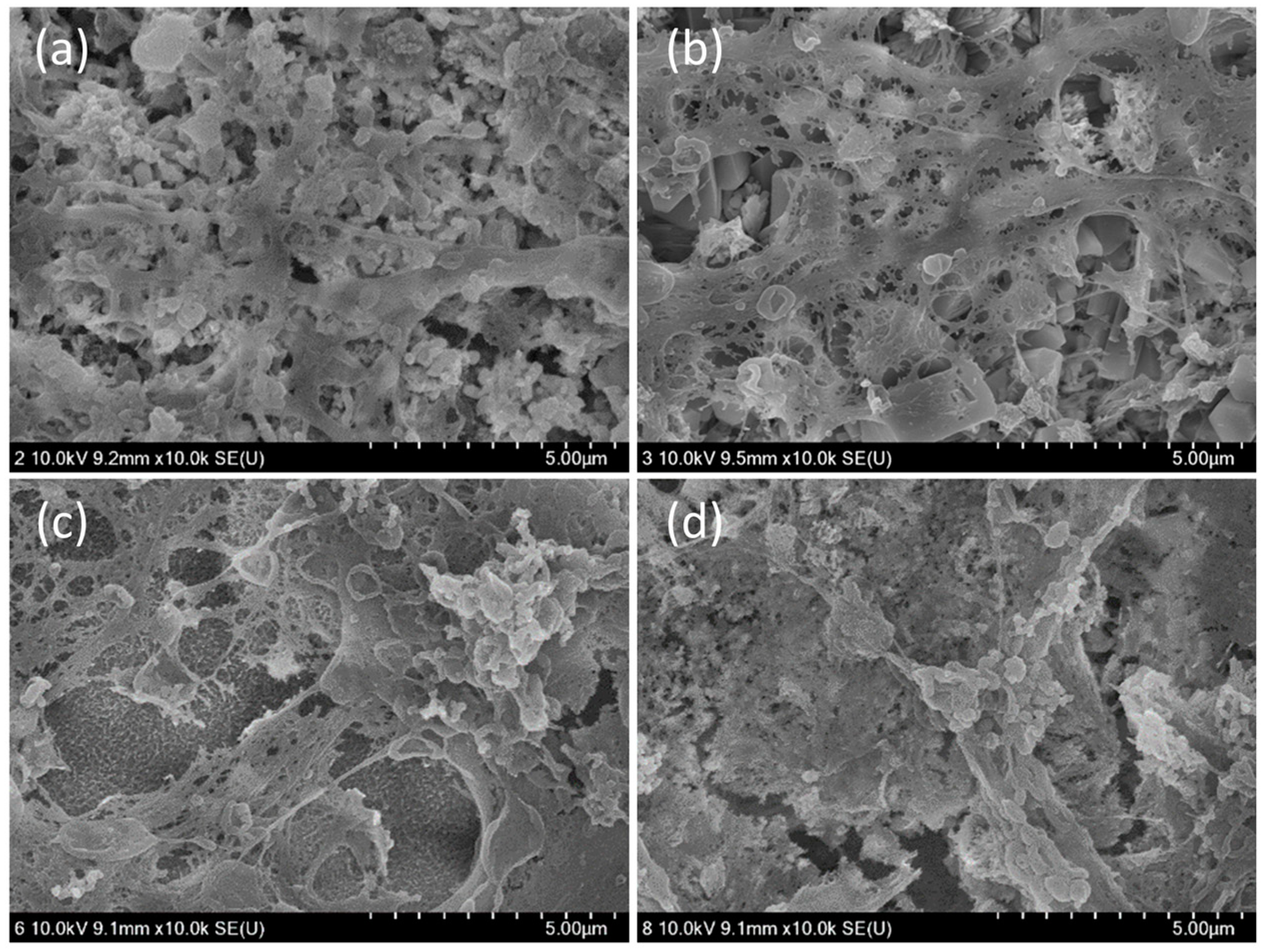 Materials 14 02863 g005 Materials 14 02863 g005