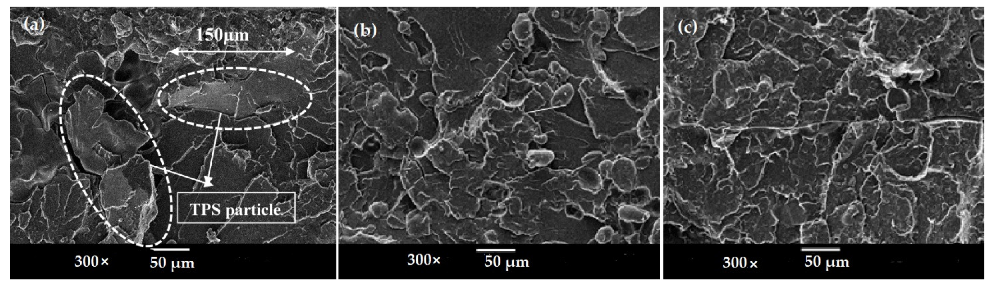 Materials 14 02867 g008