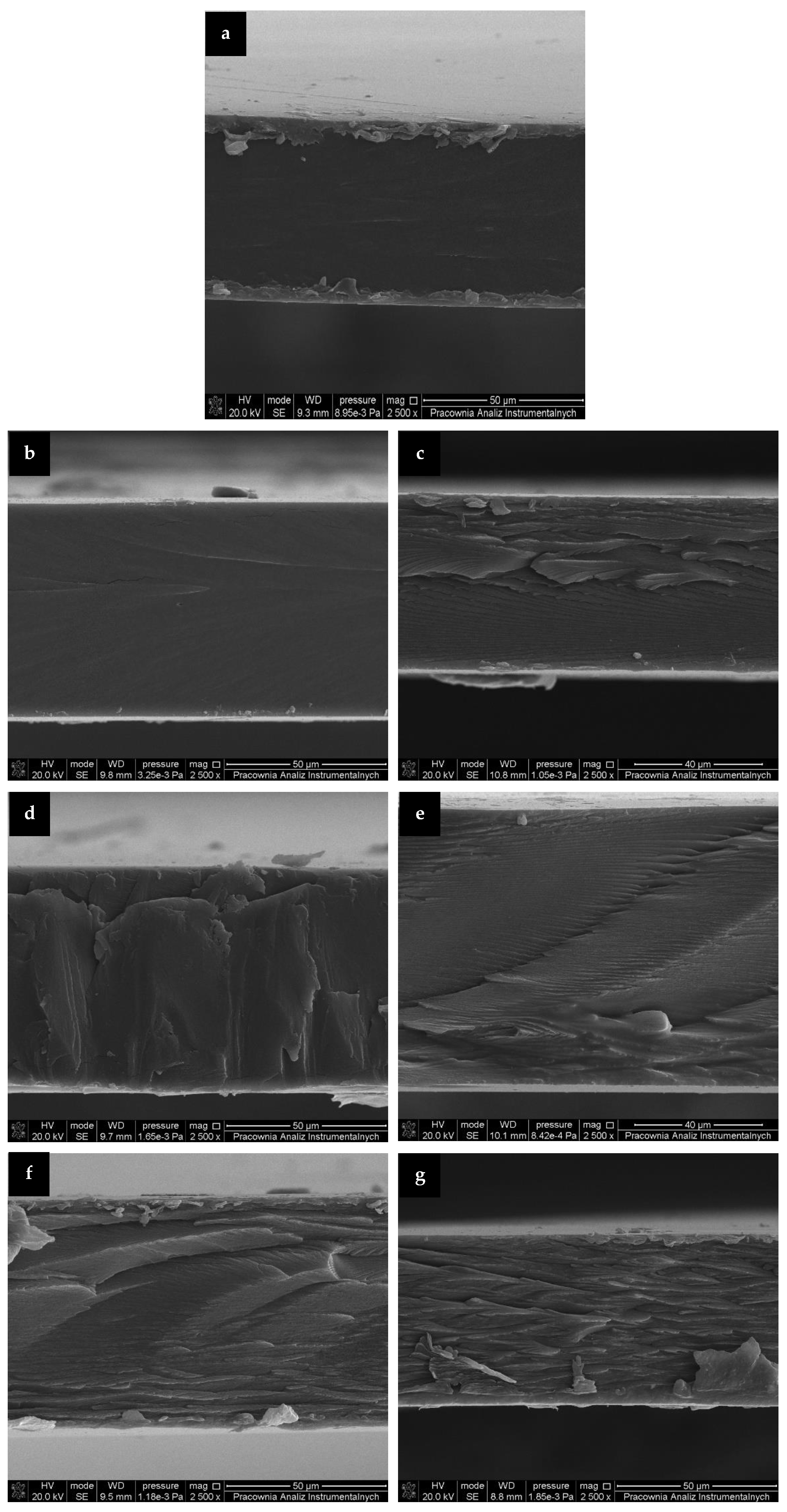 Materials 14 02869 g002