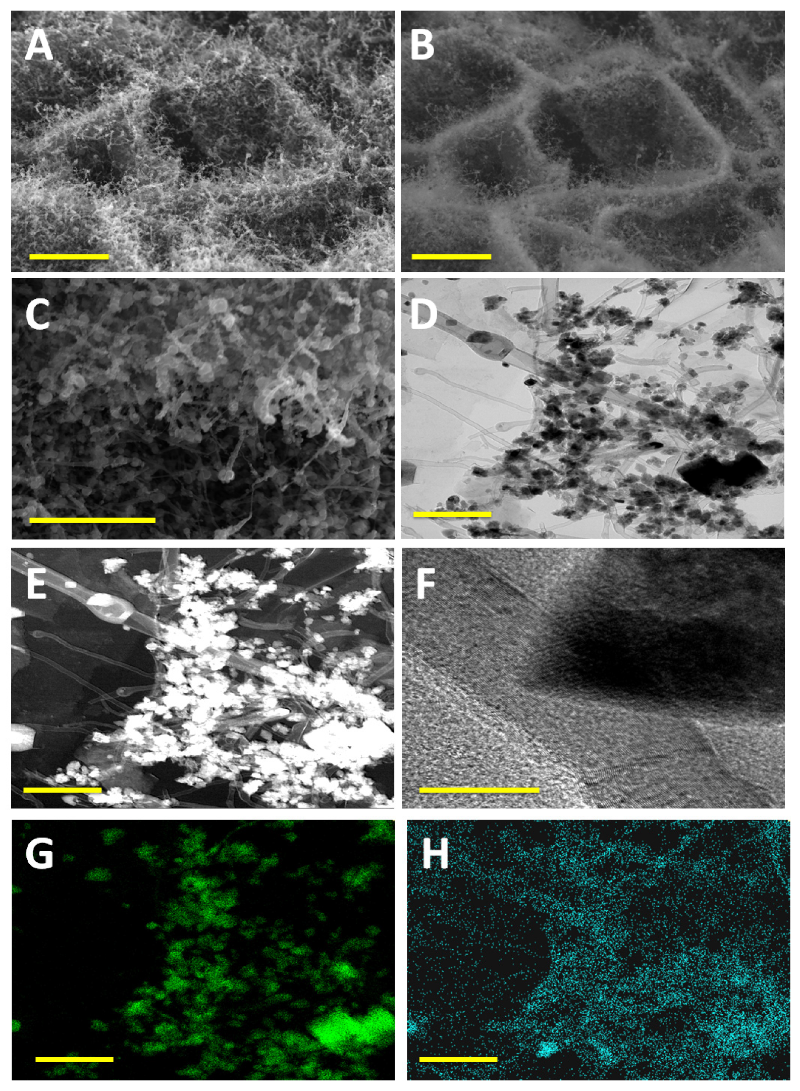 Materials 14 02871 g001