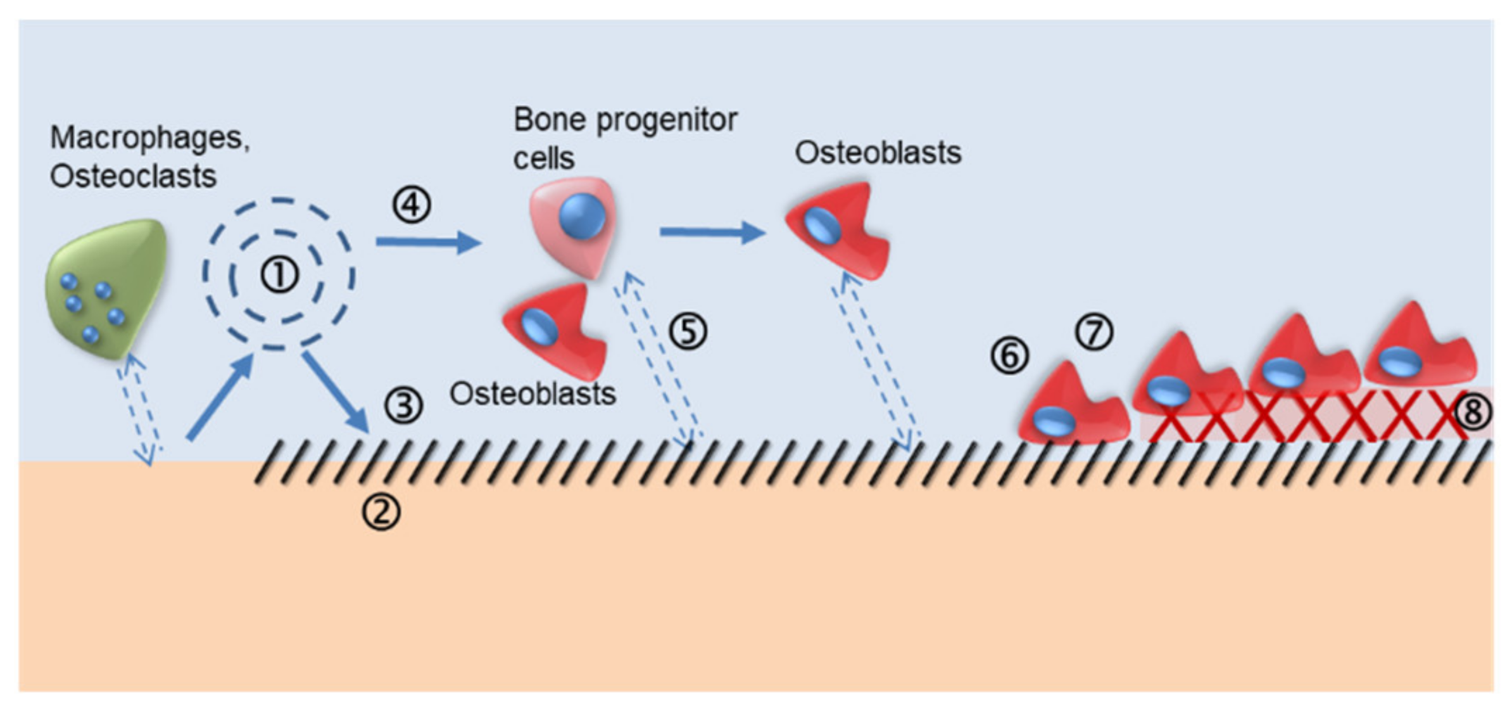 Materials 14 02879 g001