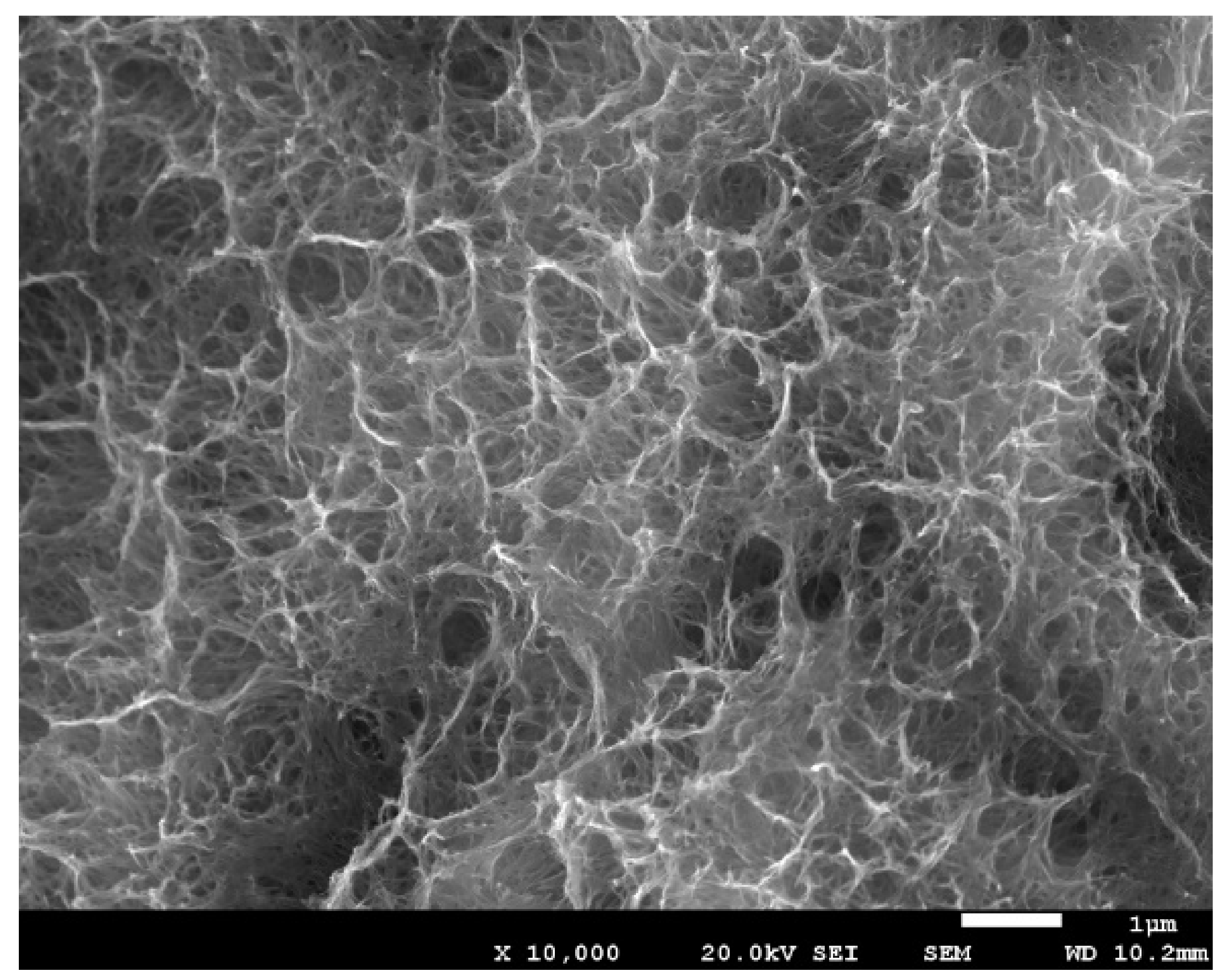 Materials 14 02879 g004