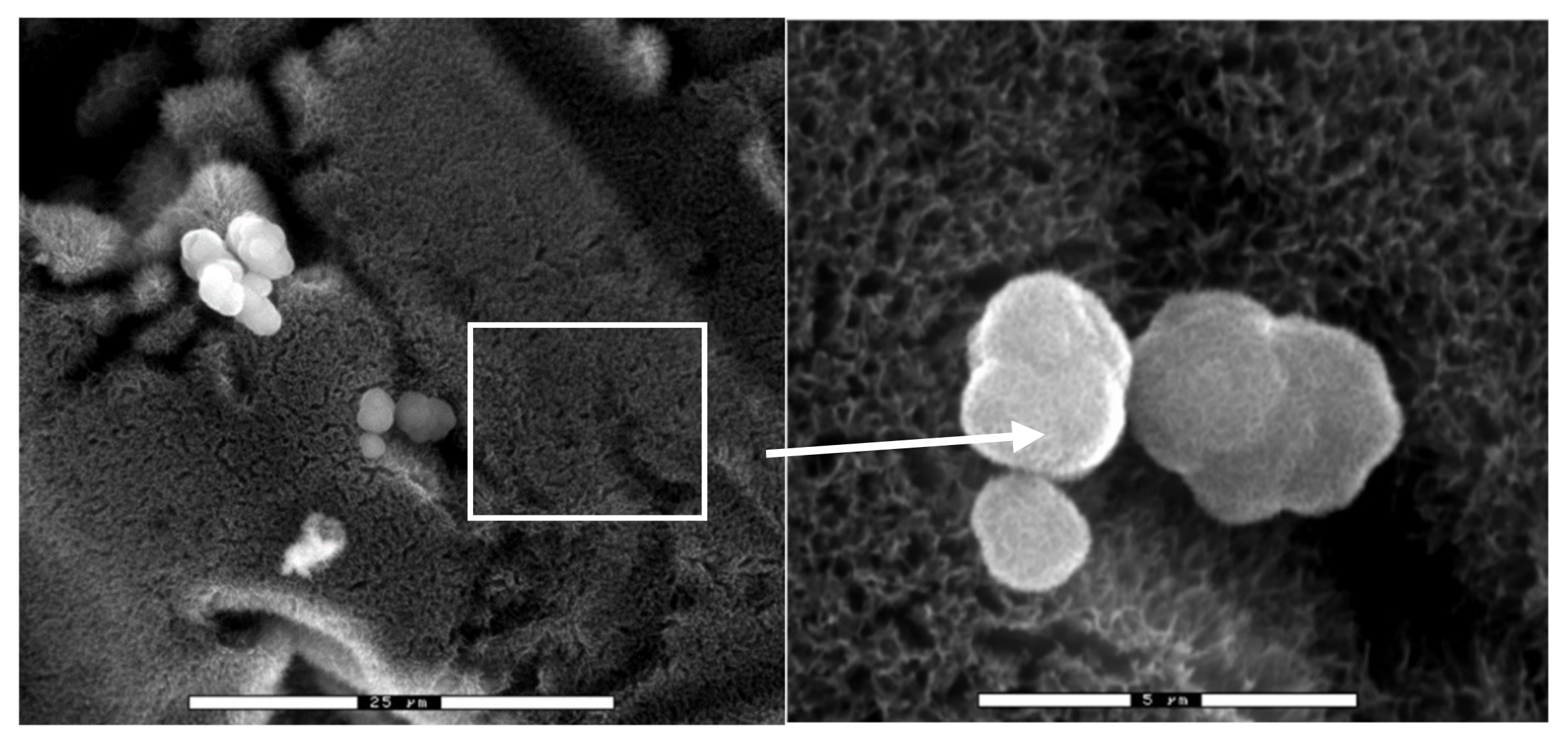 Materials 14 02879 g006