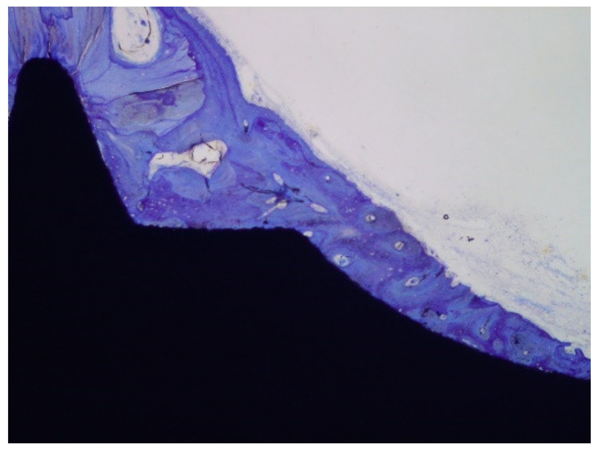 Materials 14 02879 g012