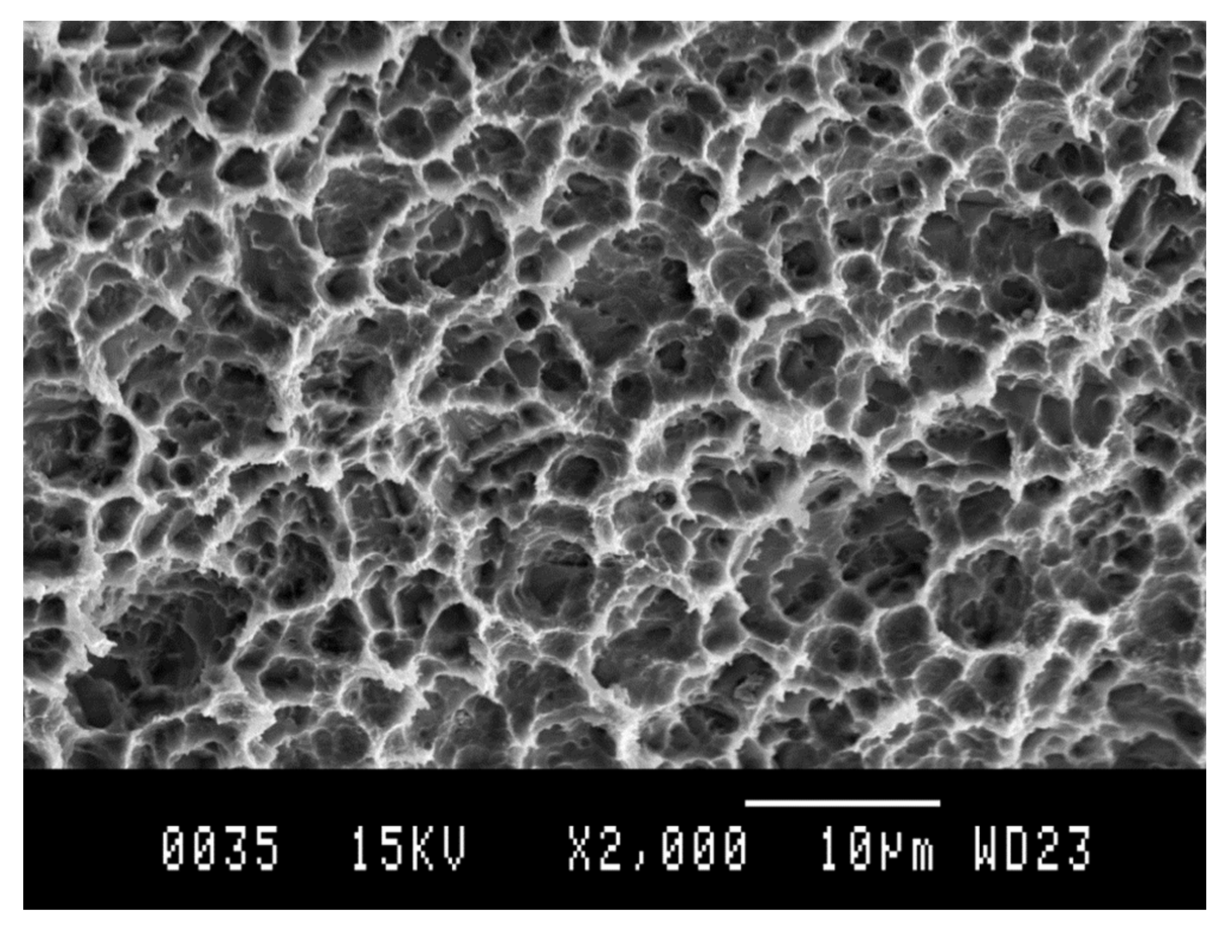 Materials 14 02879 g014