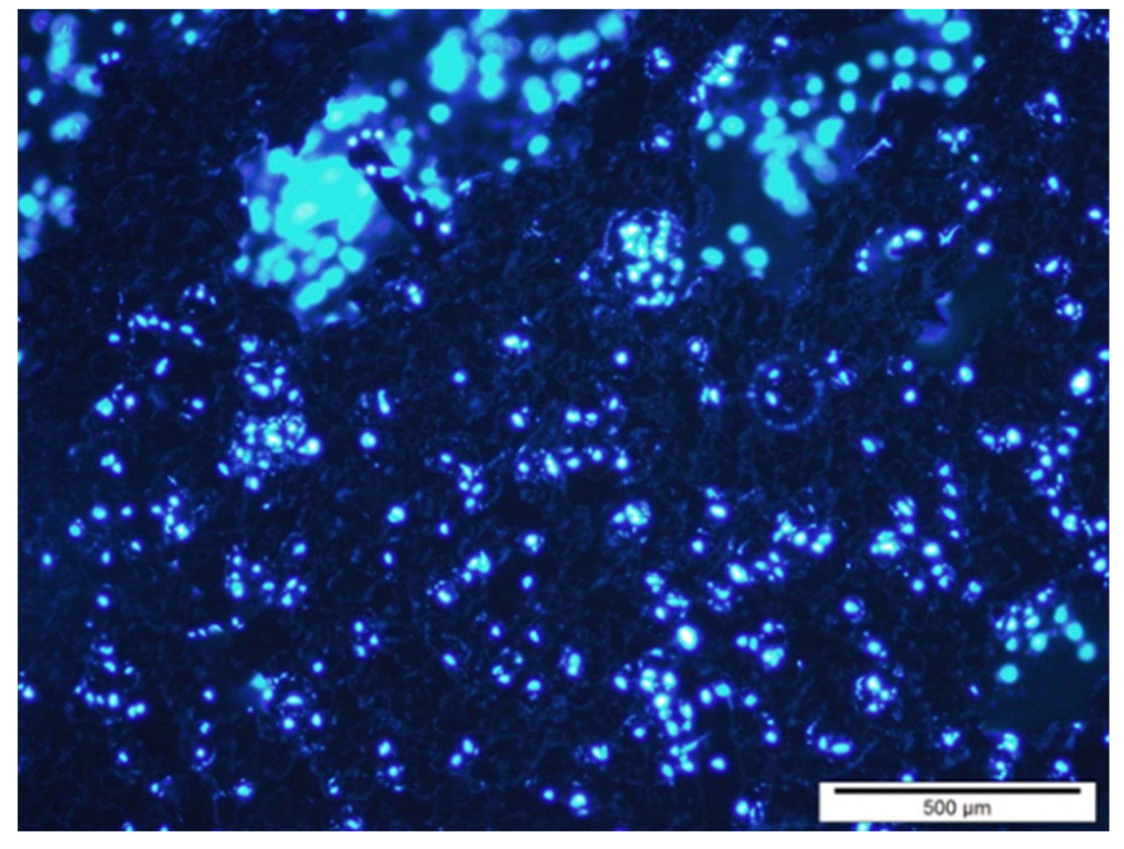 Materials 14 02879 g015