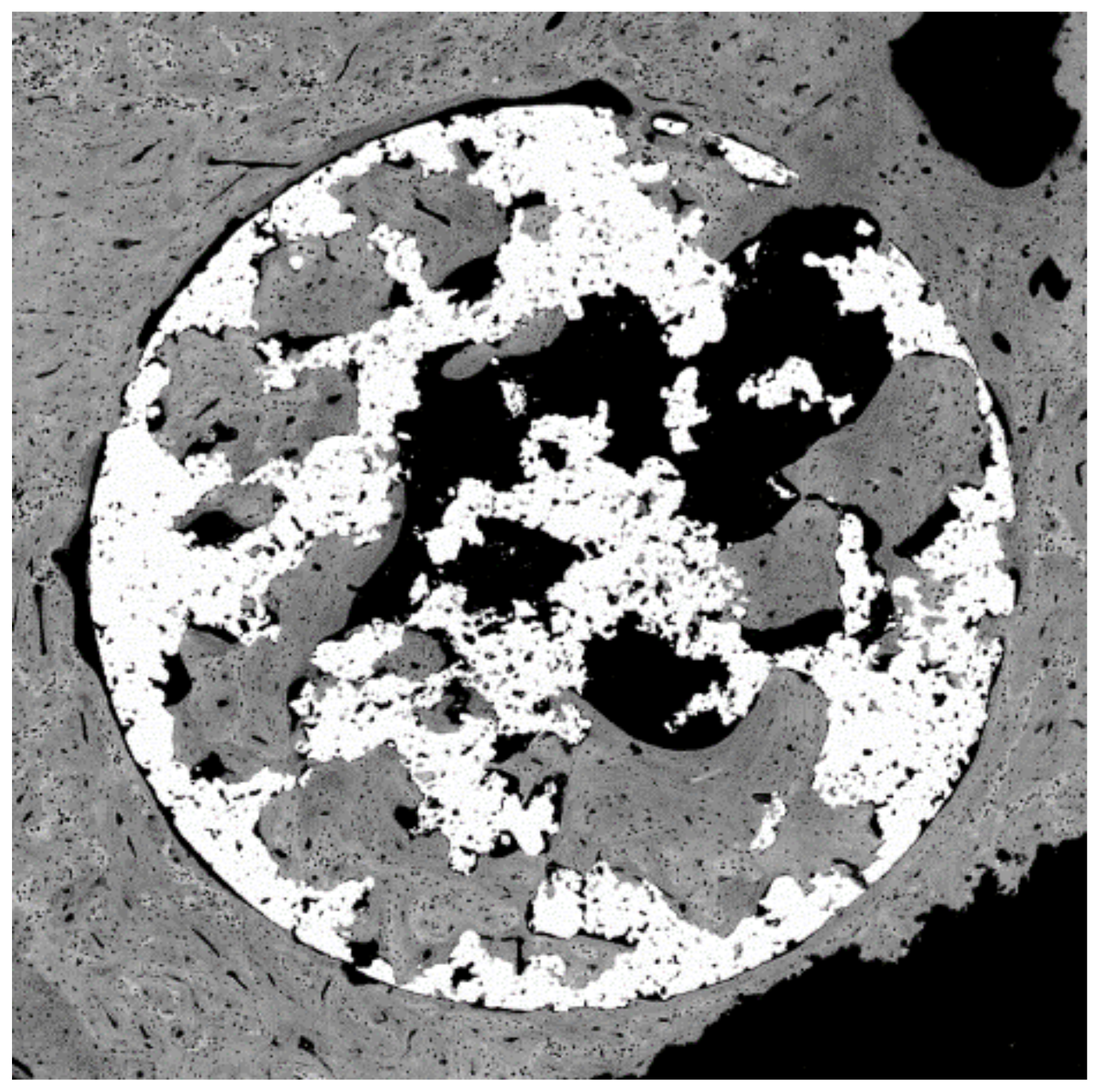 Materials 14 02879 g017