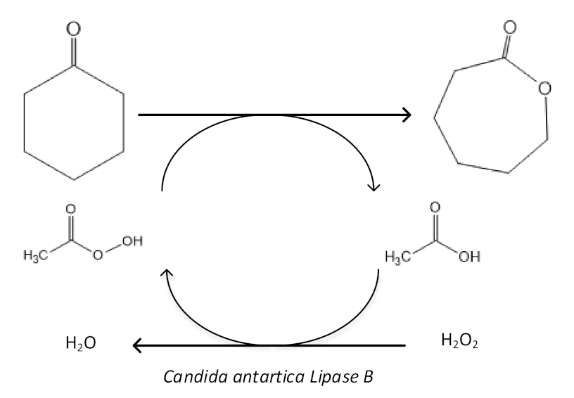 Materials 14 02881 g004 Materials 14 02881 g004