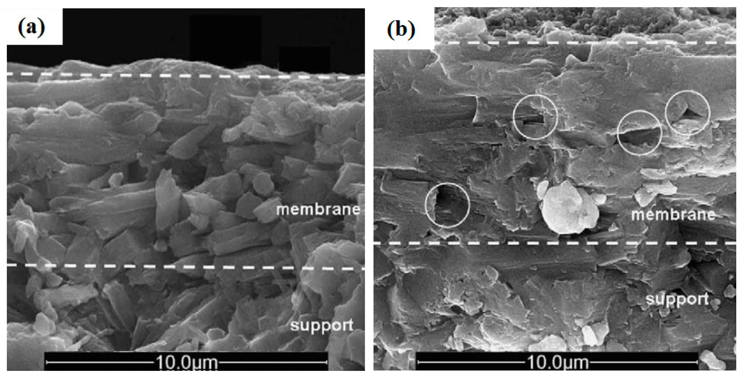 Materials 14 02890 g003 Materials 14 02890 g003