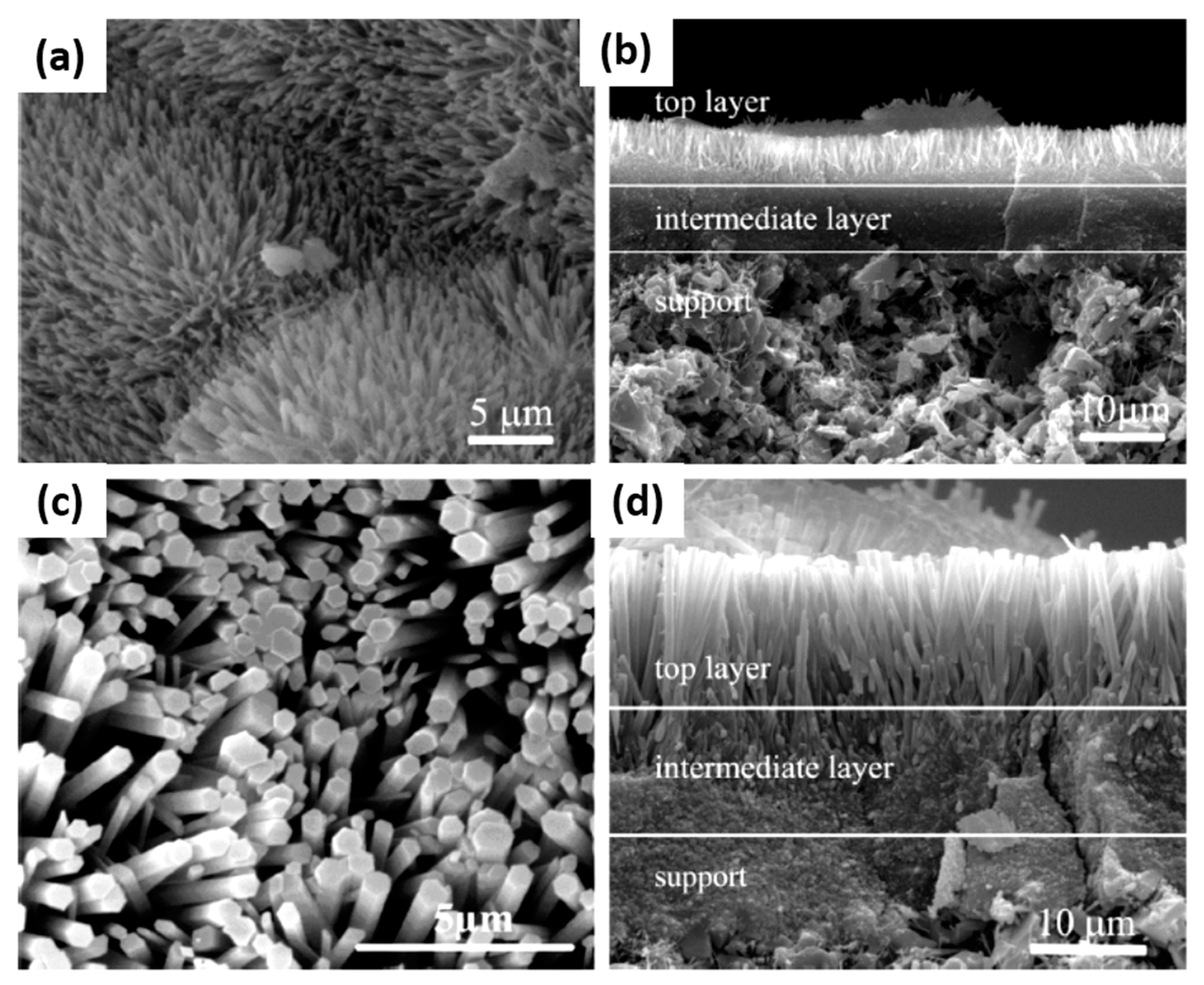 Materials 14 02890 g007 Materials 14 02890 g007