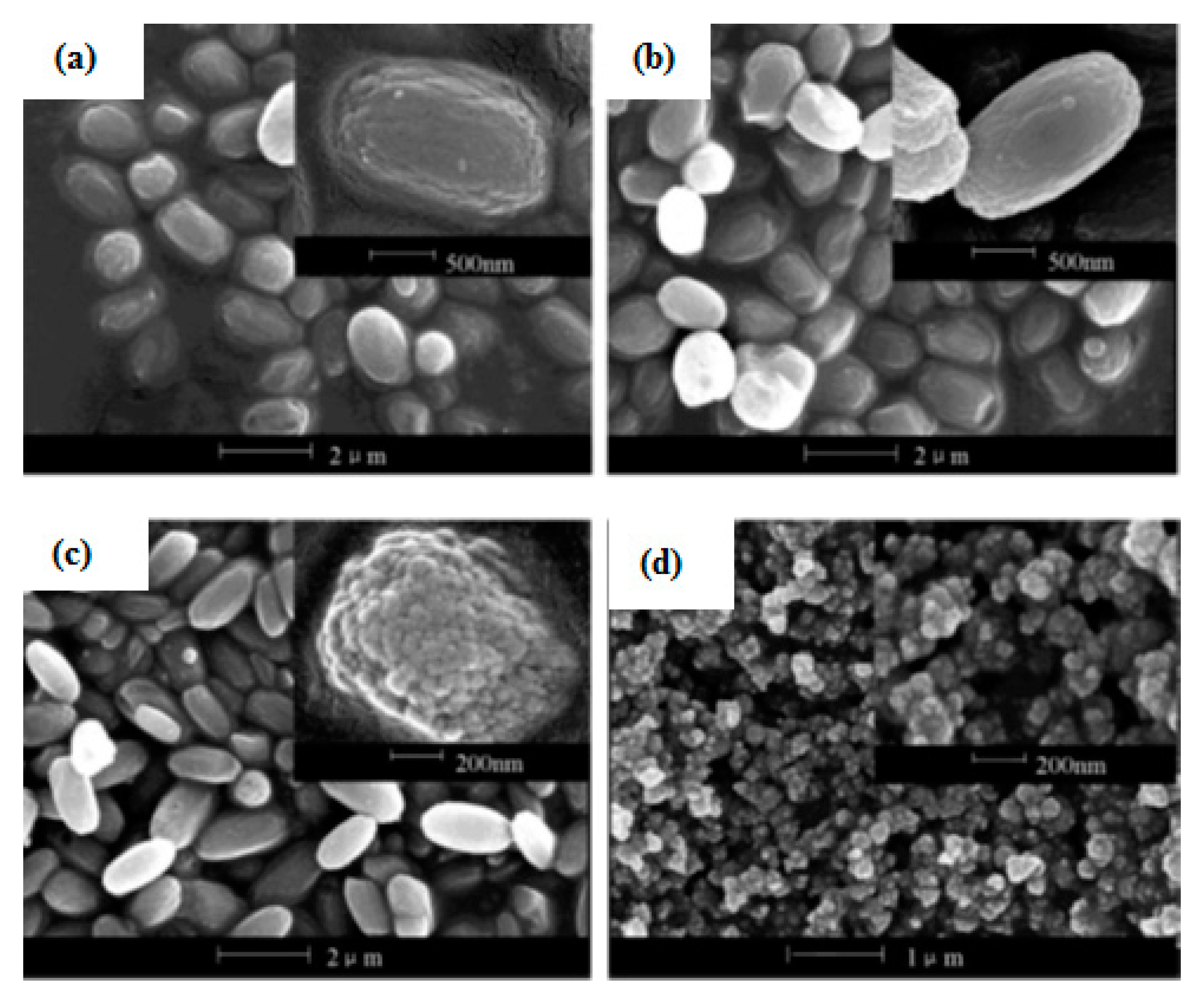 Materials 14 02890 g011 Materials 14 02890 g011