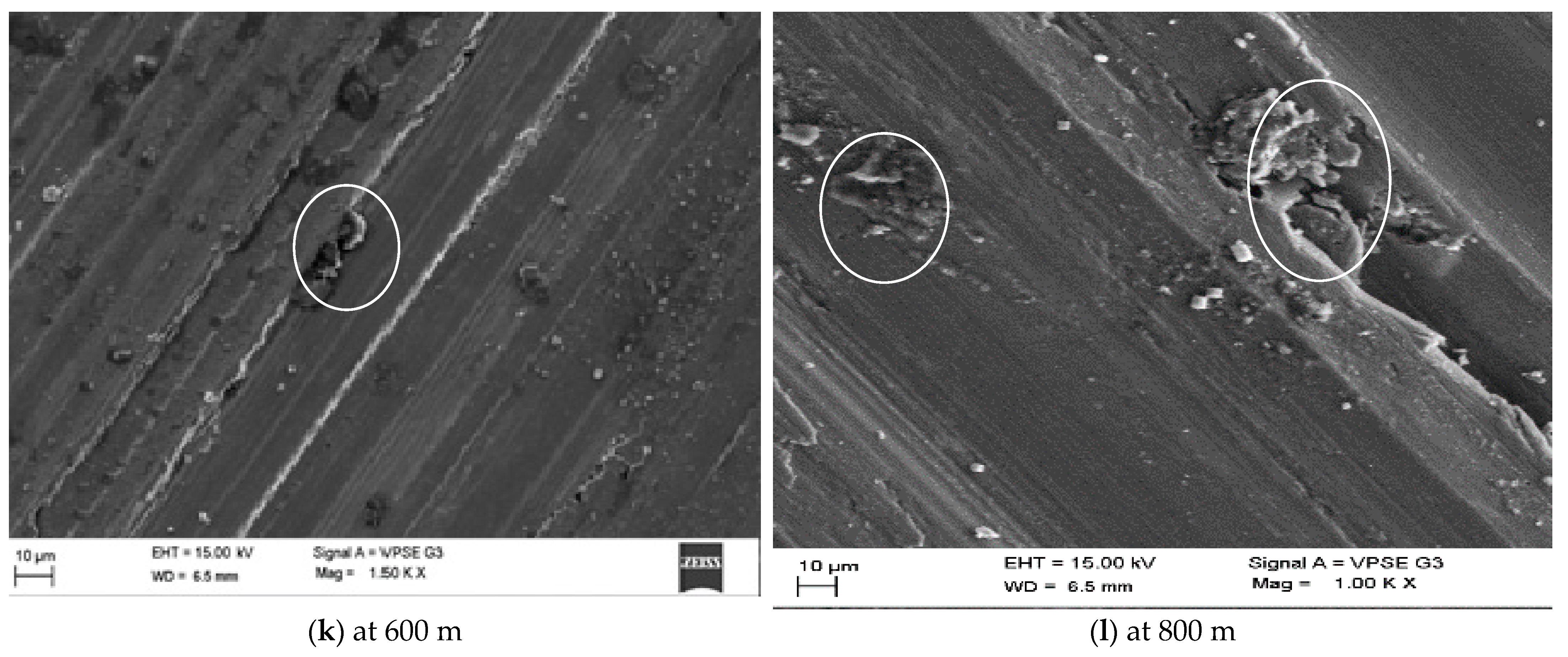 Materials 14 02895 g008c