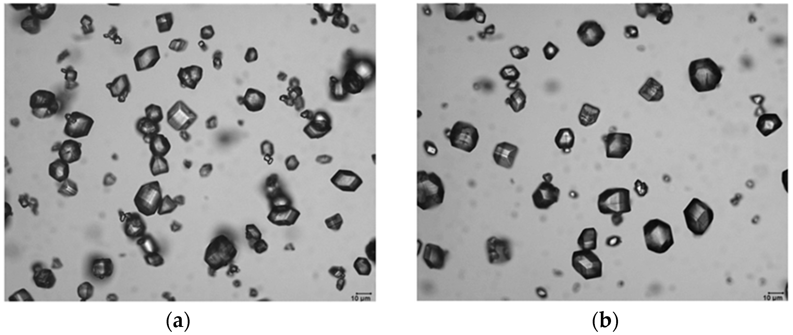 Materials 14 02898 g002