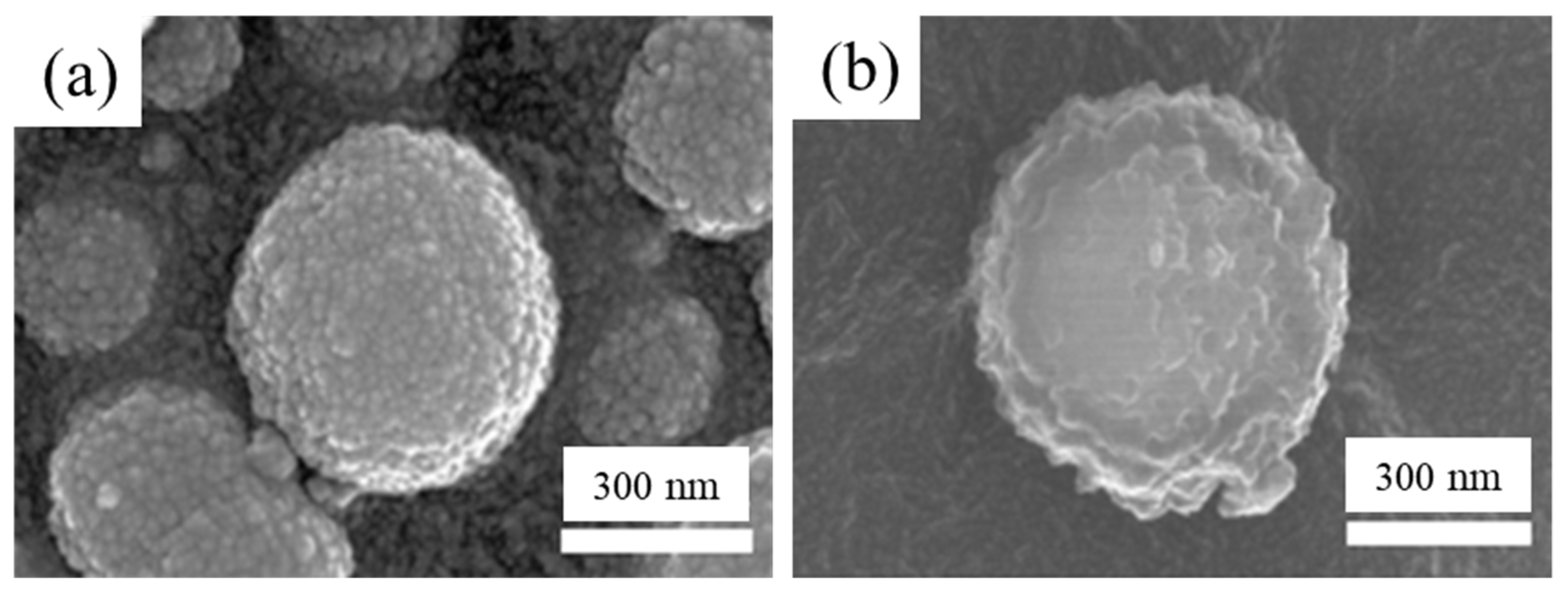 Materials 14 02900 g001 Materials 14 02900 g001