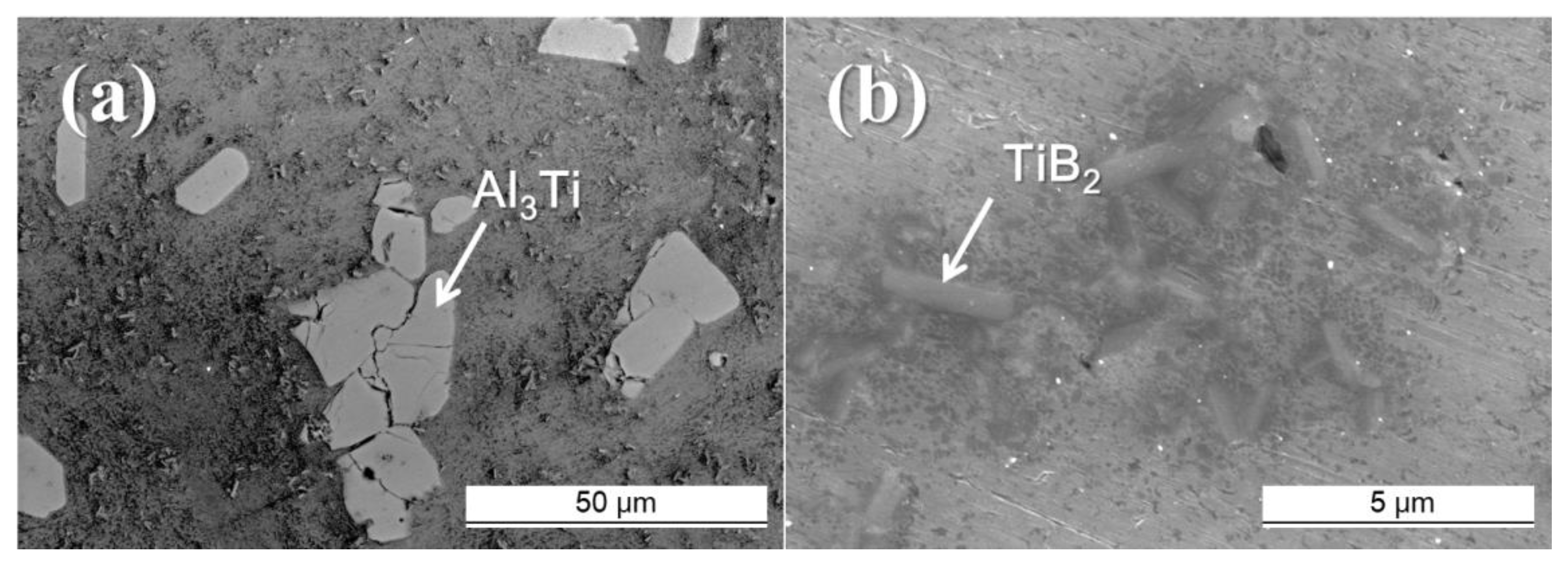Materials 14 02902 g001
