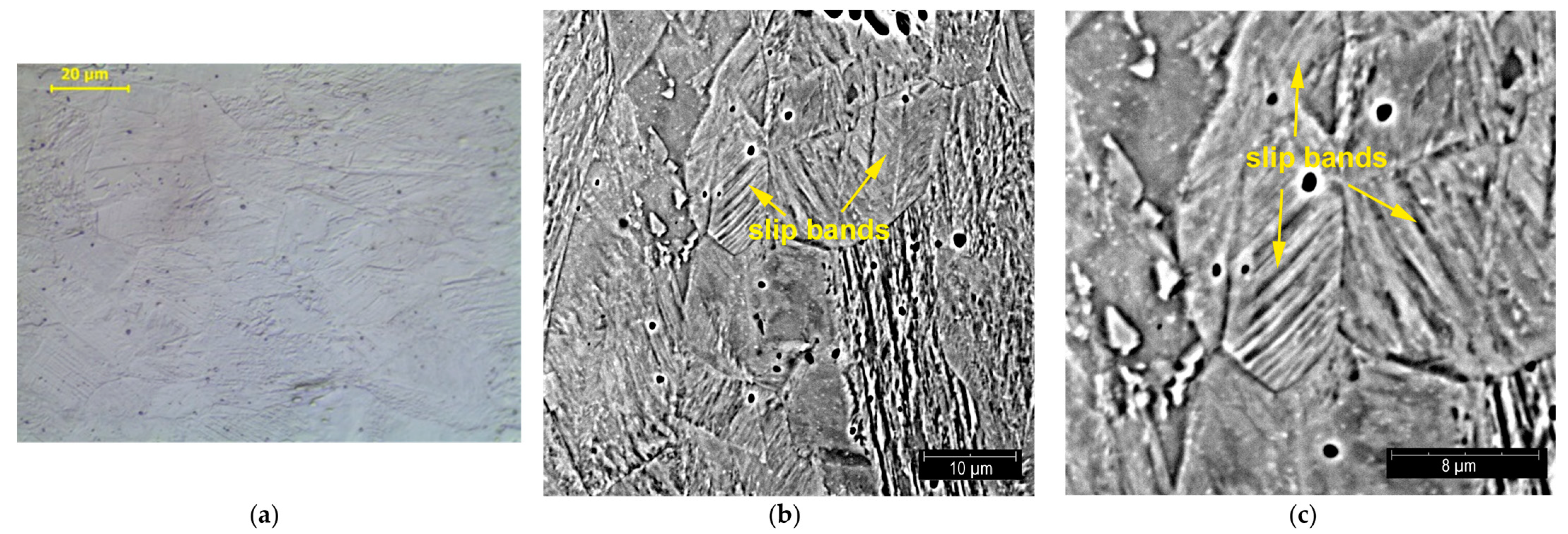 Materials 14 02904 g019