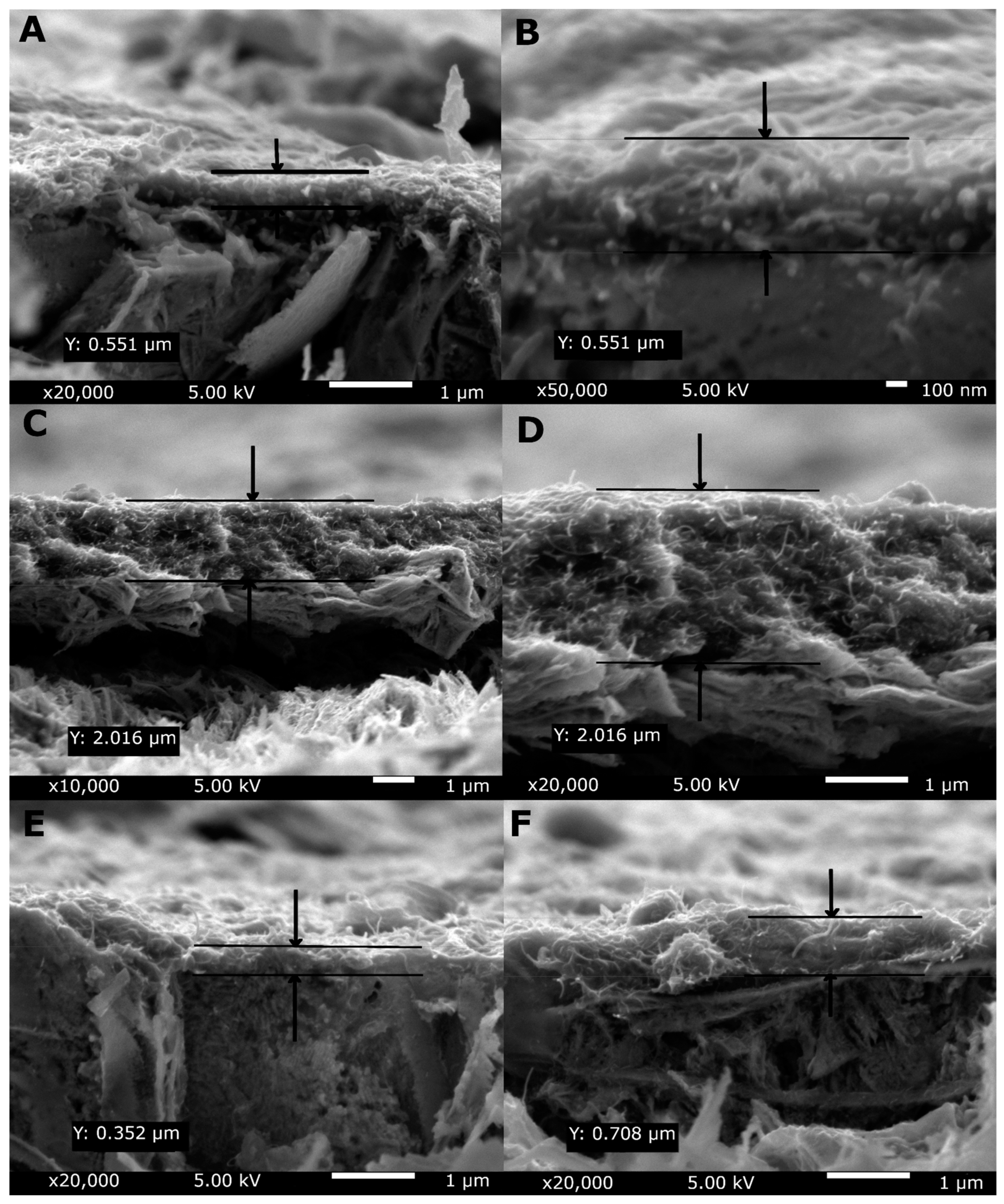 Materials 14 02905 g004