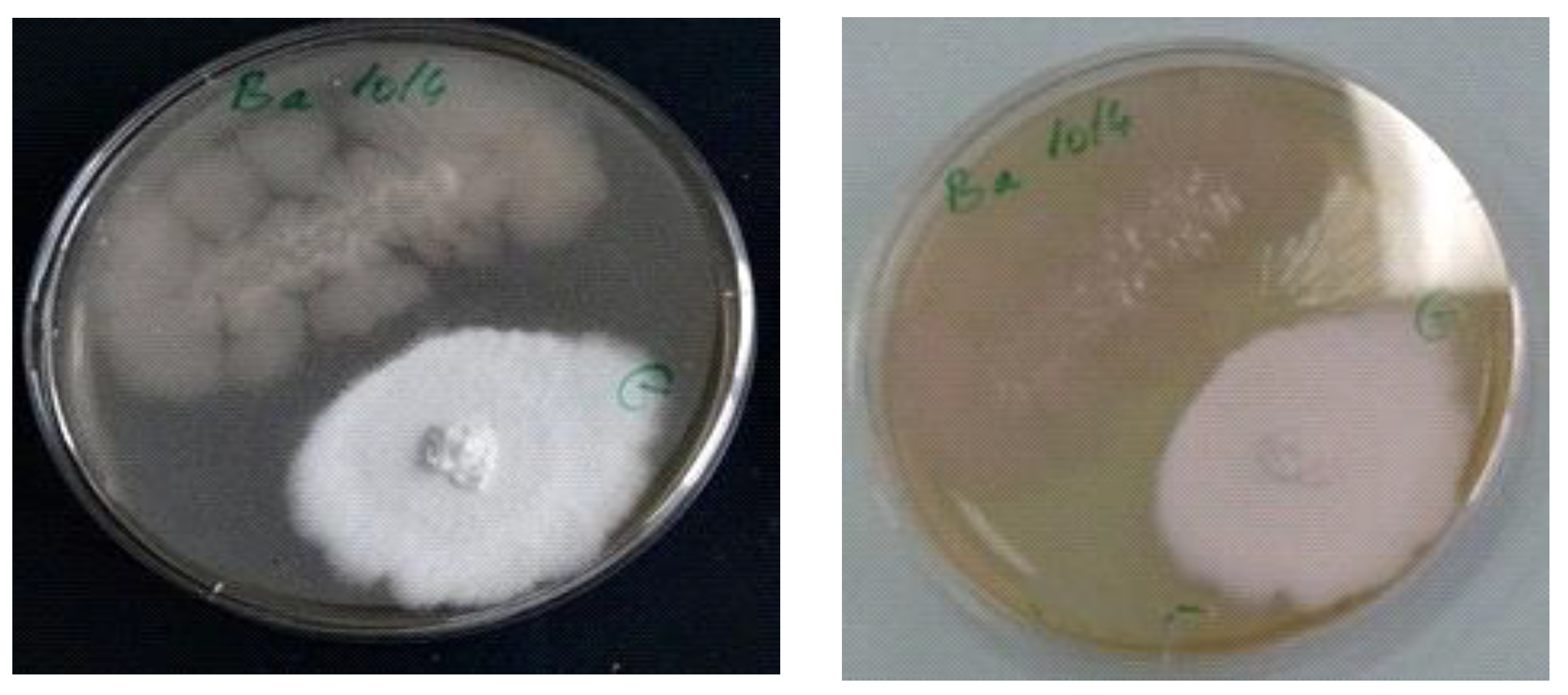 Materials 14 02906 g003 Materials 14 02906 g003