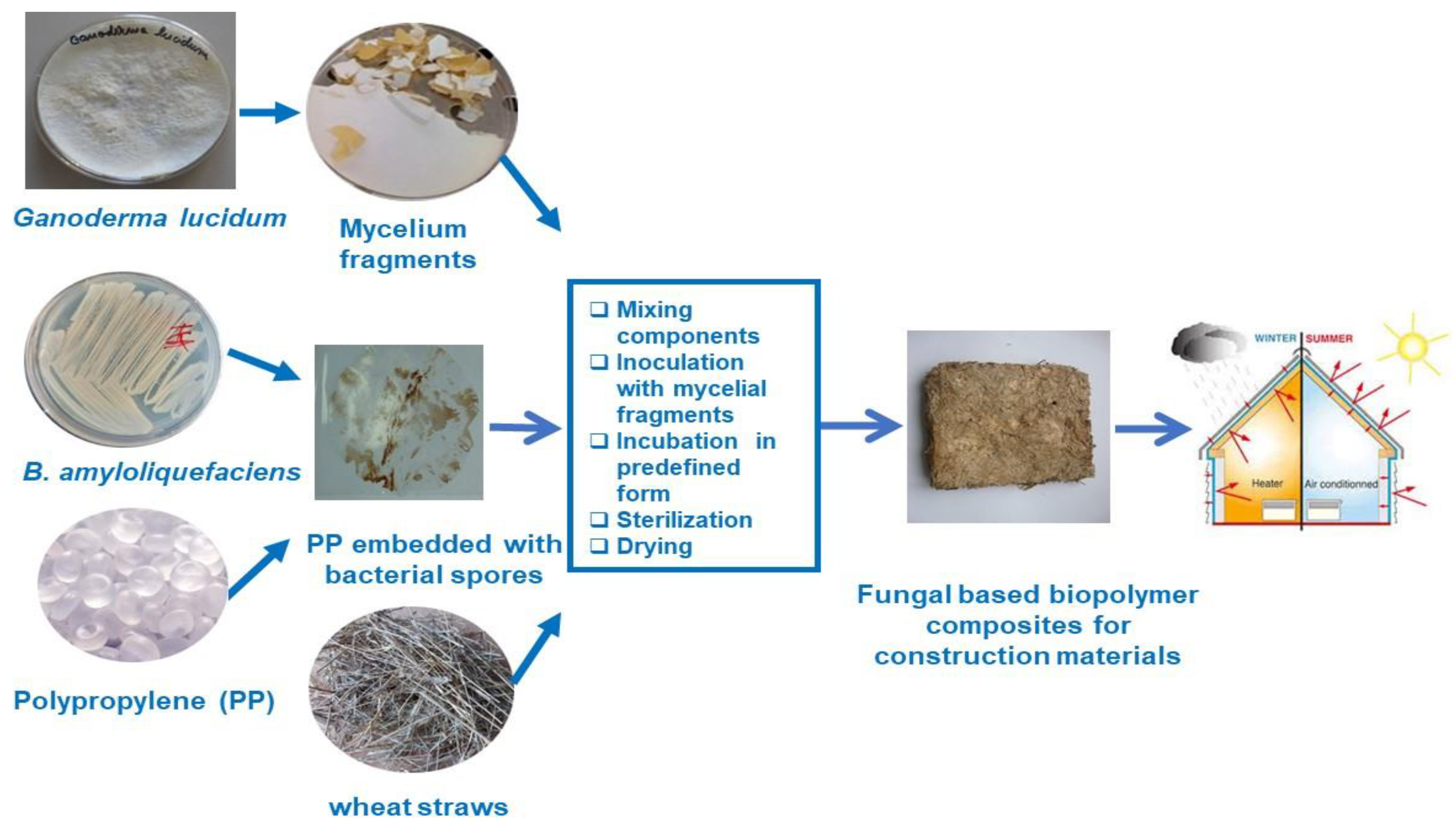 Materials 14 02906 g004 Materials 14 02906 g004