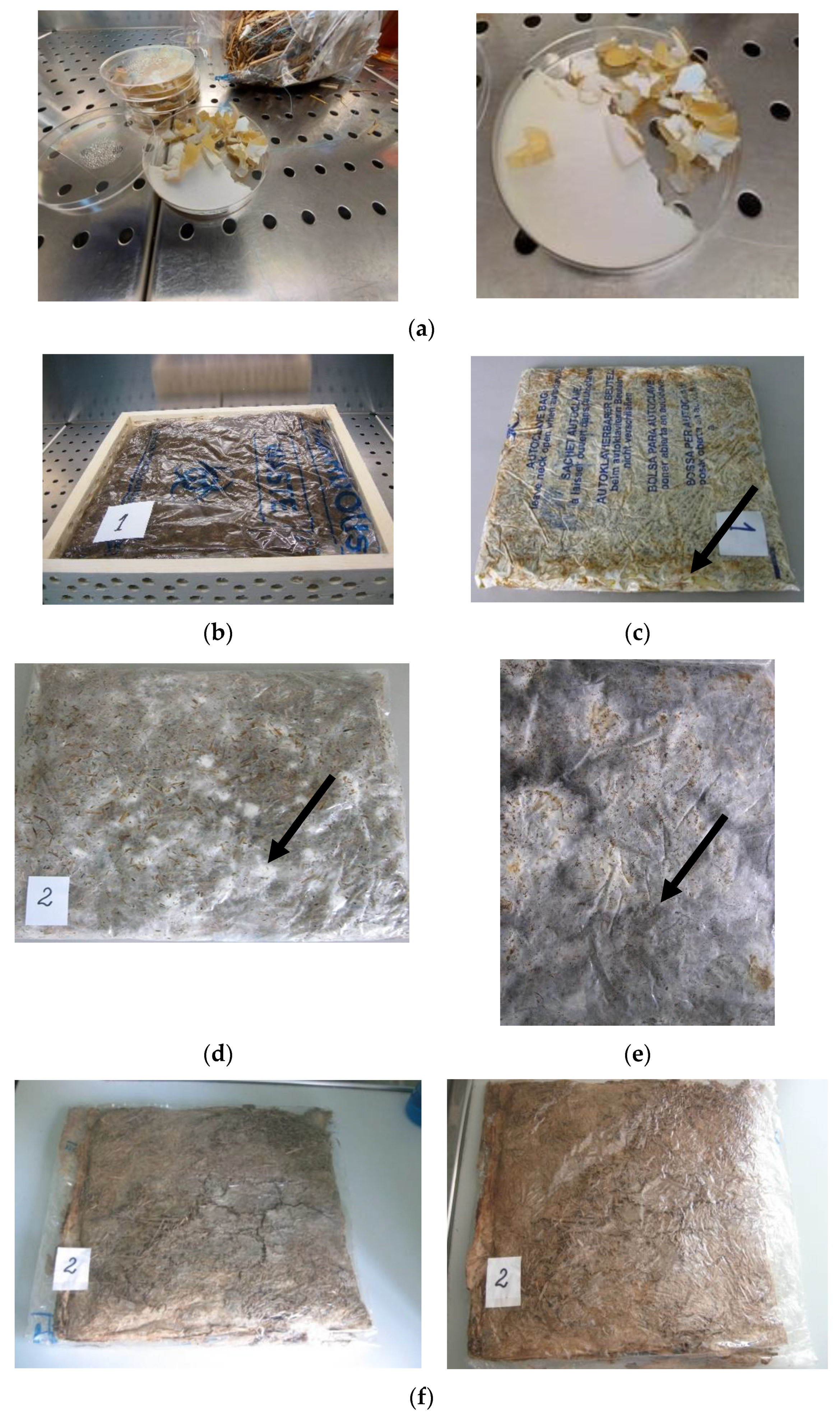 Materials 14 02906 g005a Materials 14 02906 g005a