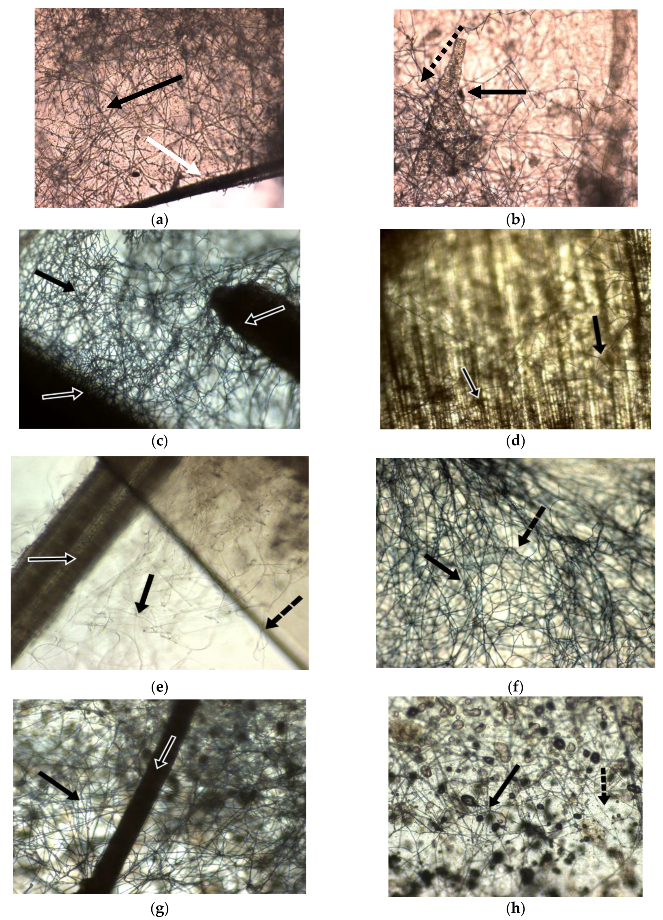 Materials 14 02906 g006a Materials 14 02906 g006a