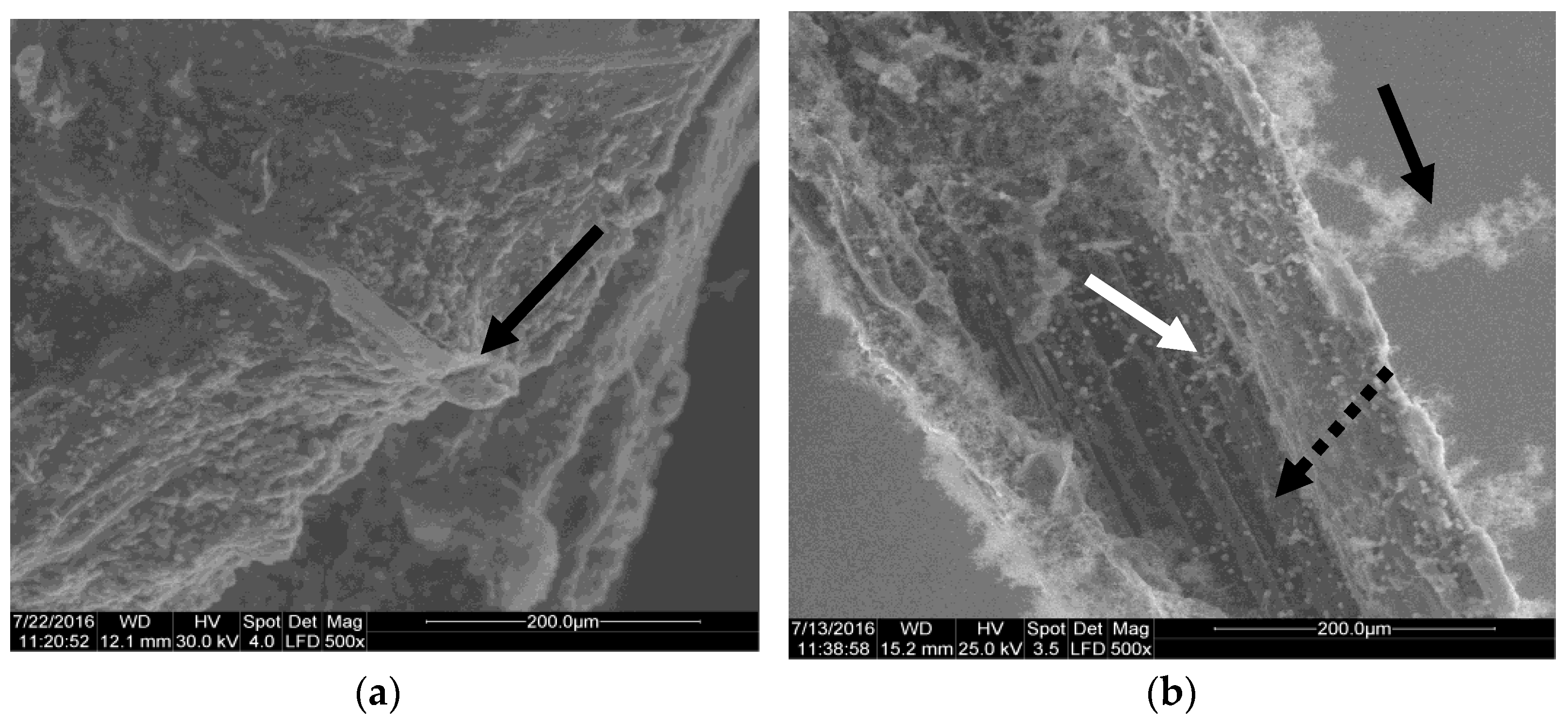 Materials 14 02906 g007a Materials 14 02906 g007a
