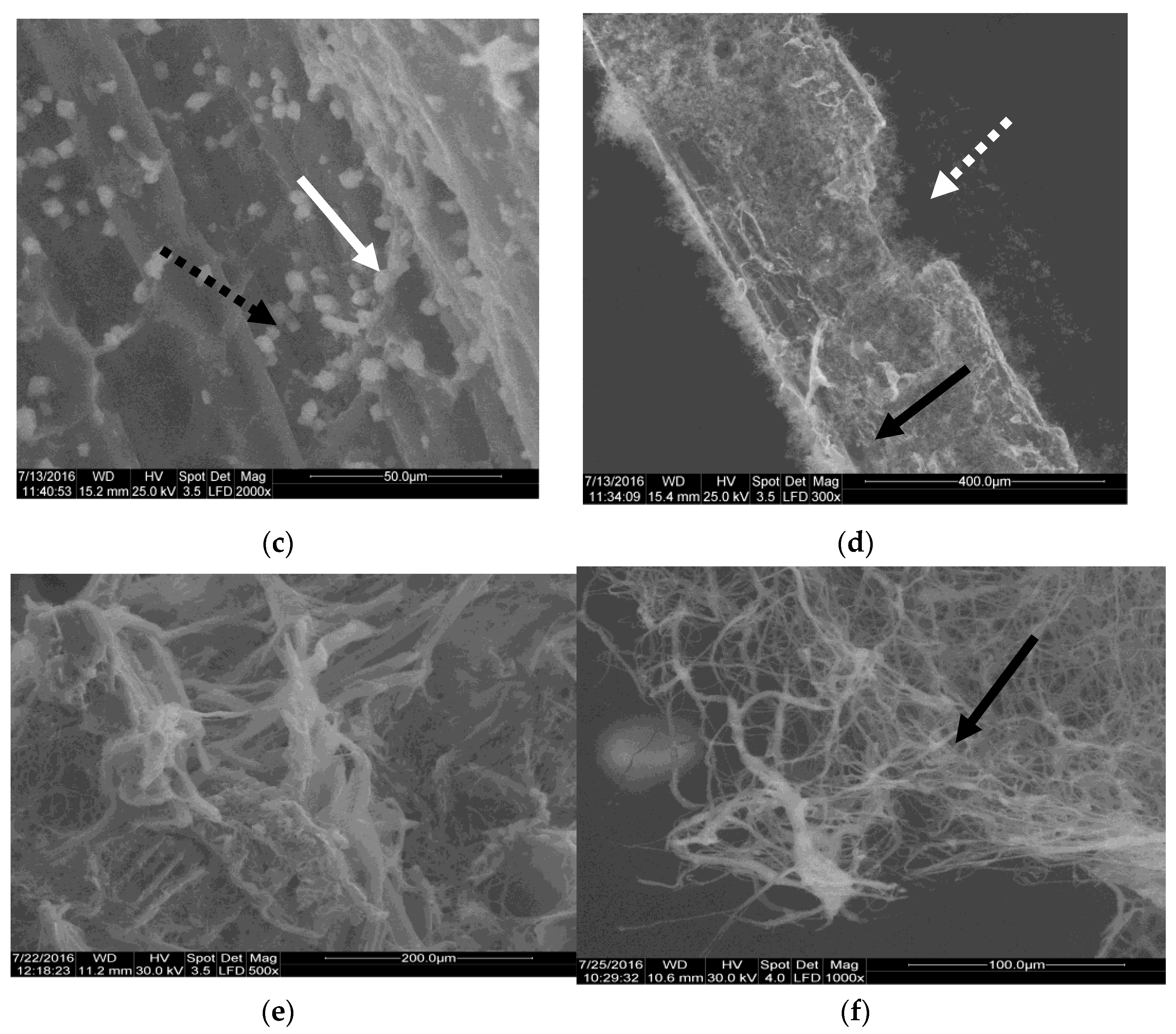 Materials 14 02906 g007b Materials 14 02906 g007b