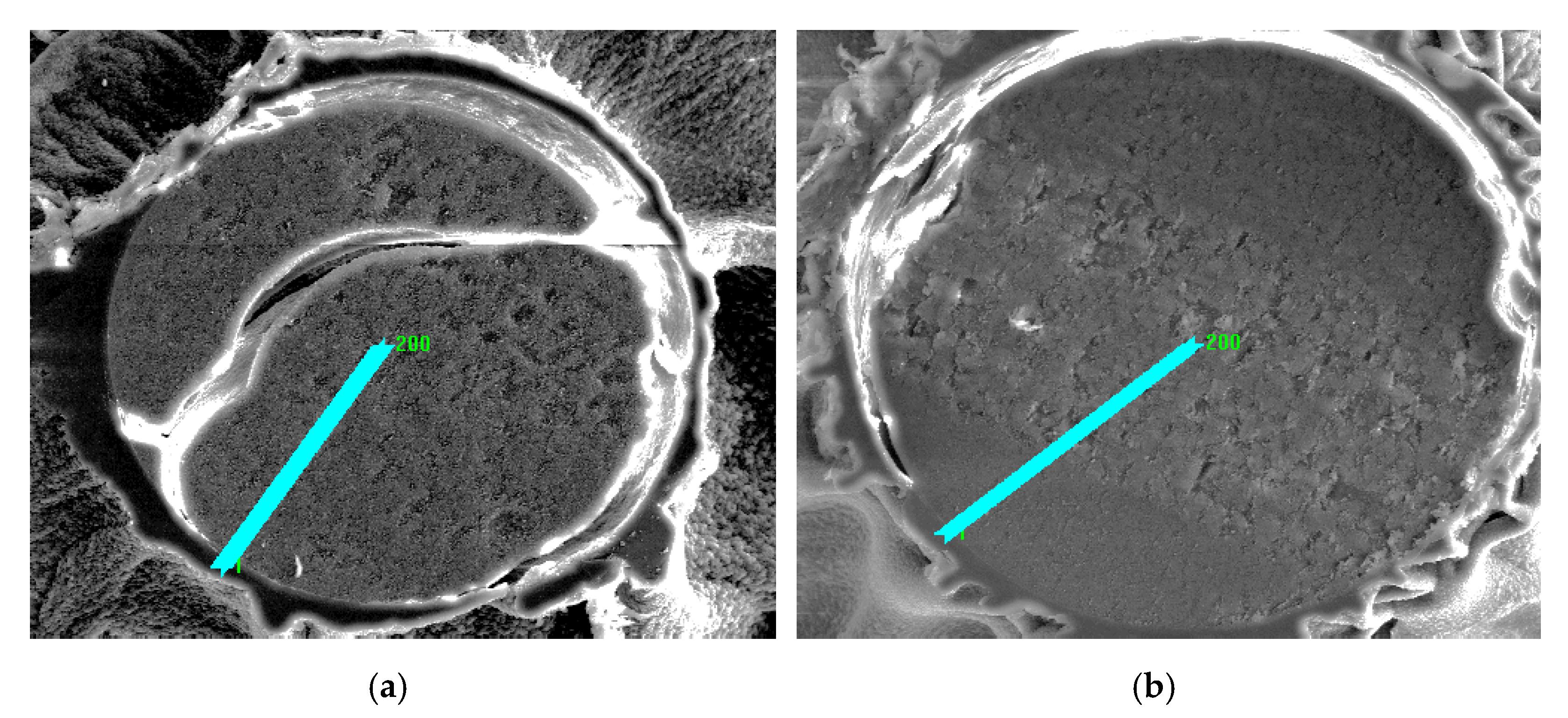 Materials 14 02915 g005