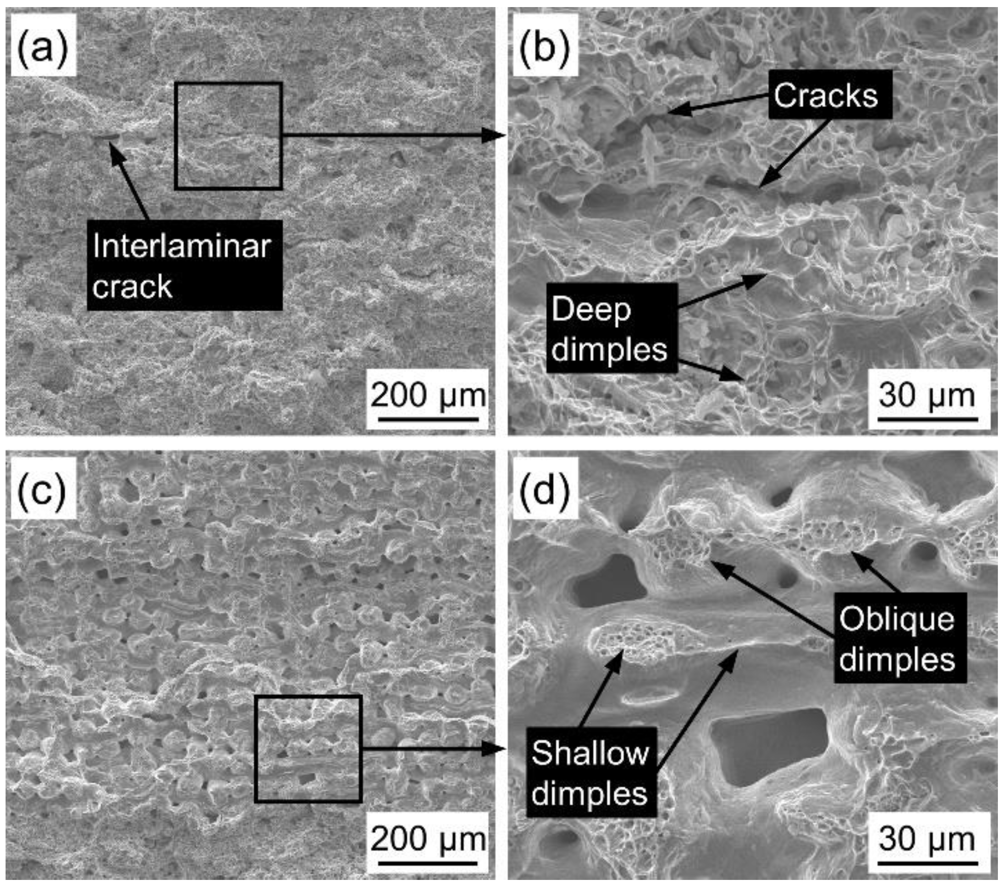 Materials 14 02924 g007