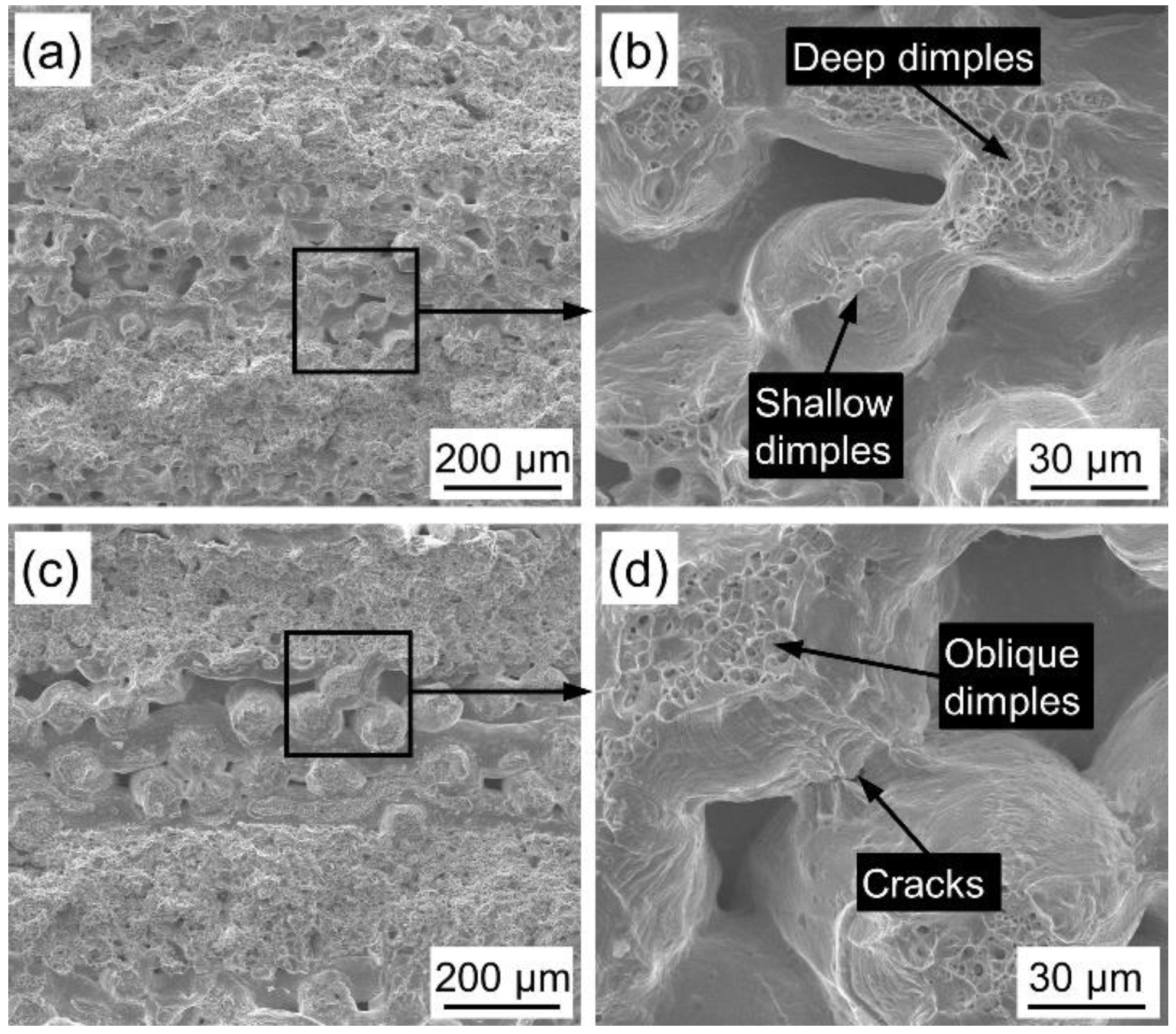 Materials 14 02924 g008