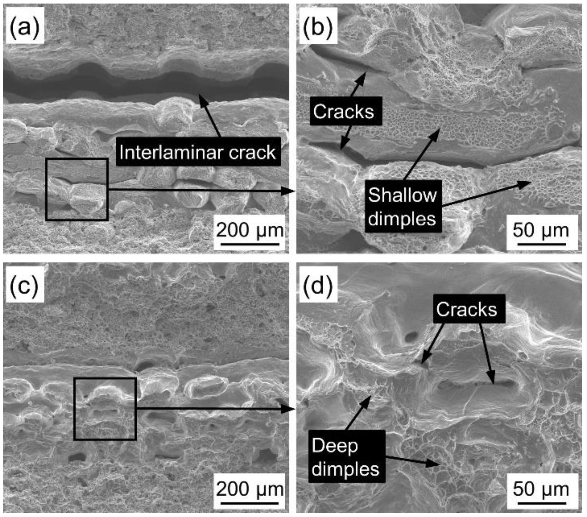 Materials 14 02924 g009