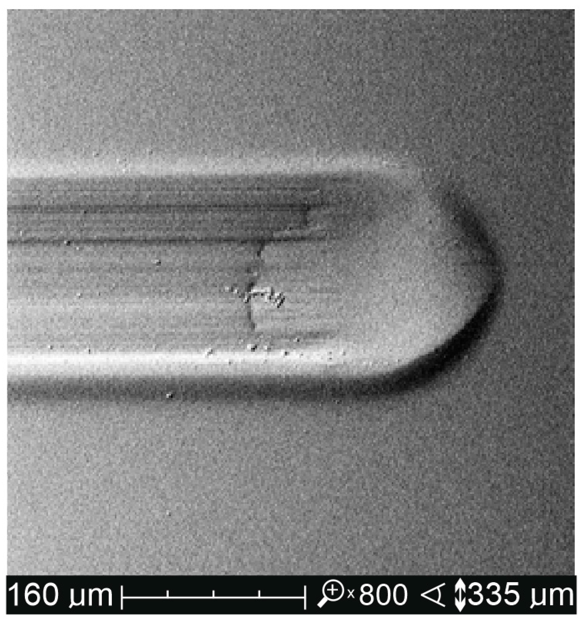 Materials 14 02925 g004