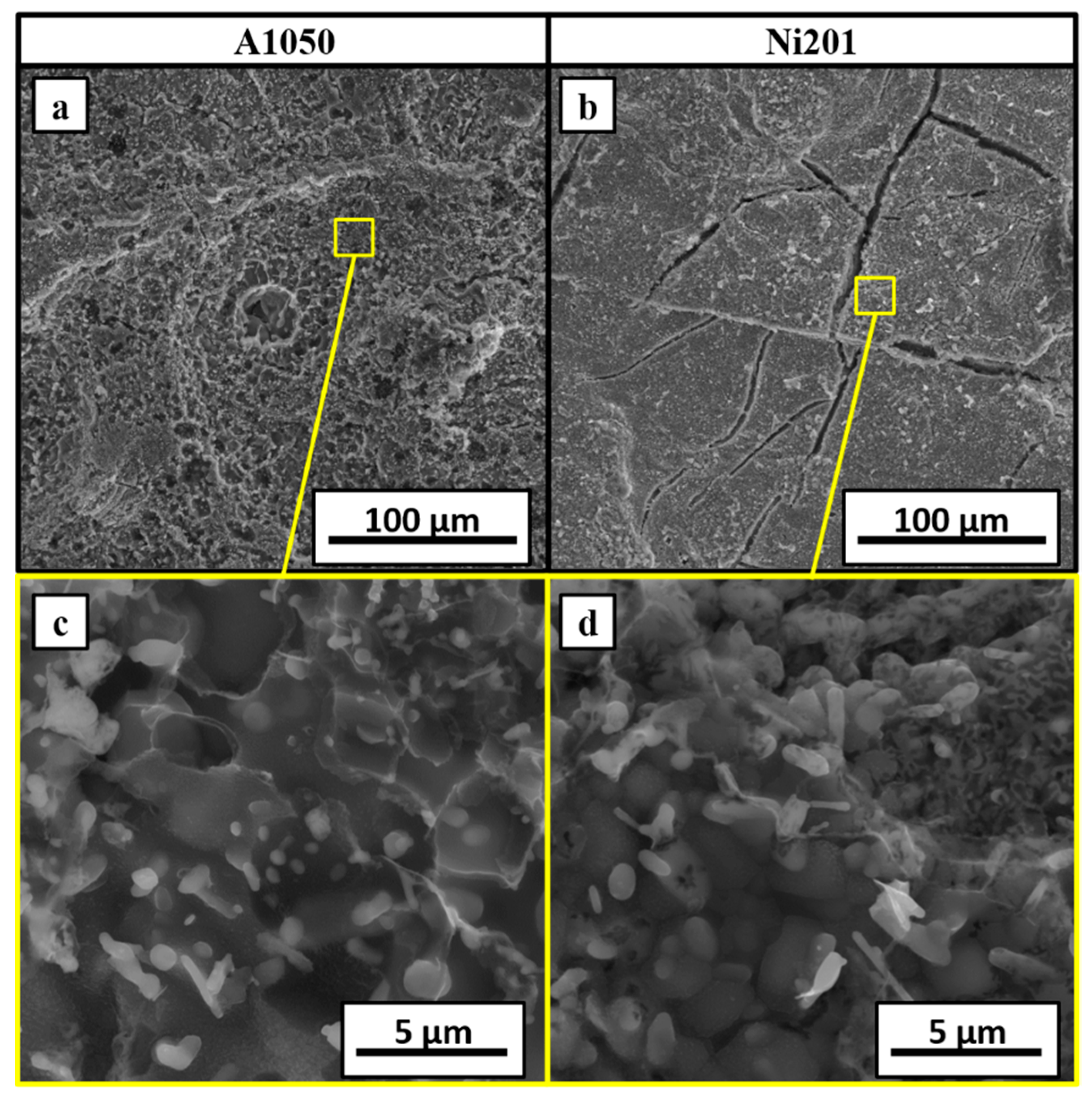 Materials 14 02931 g011 Materials 14 02931 g011