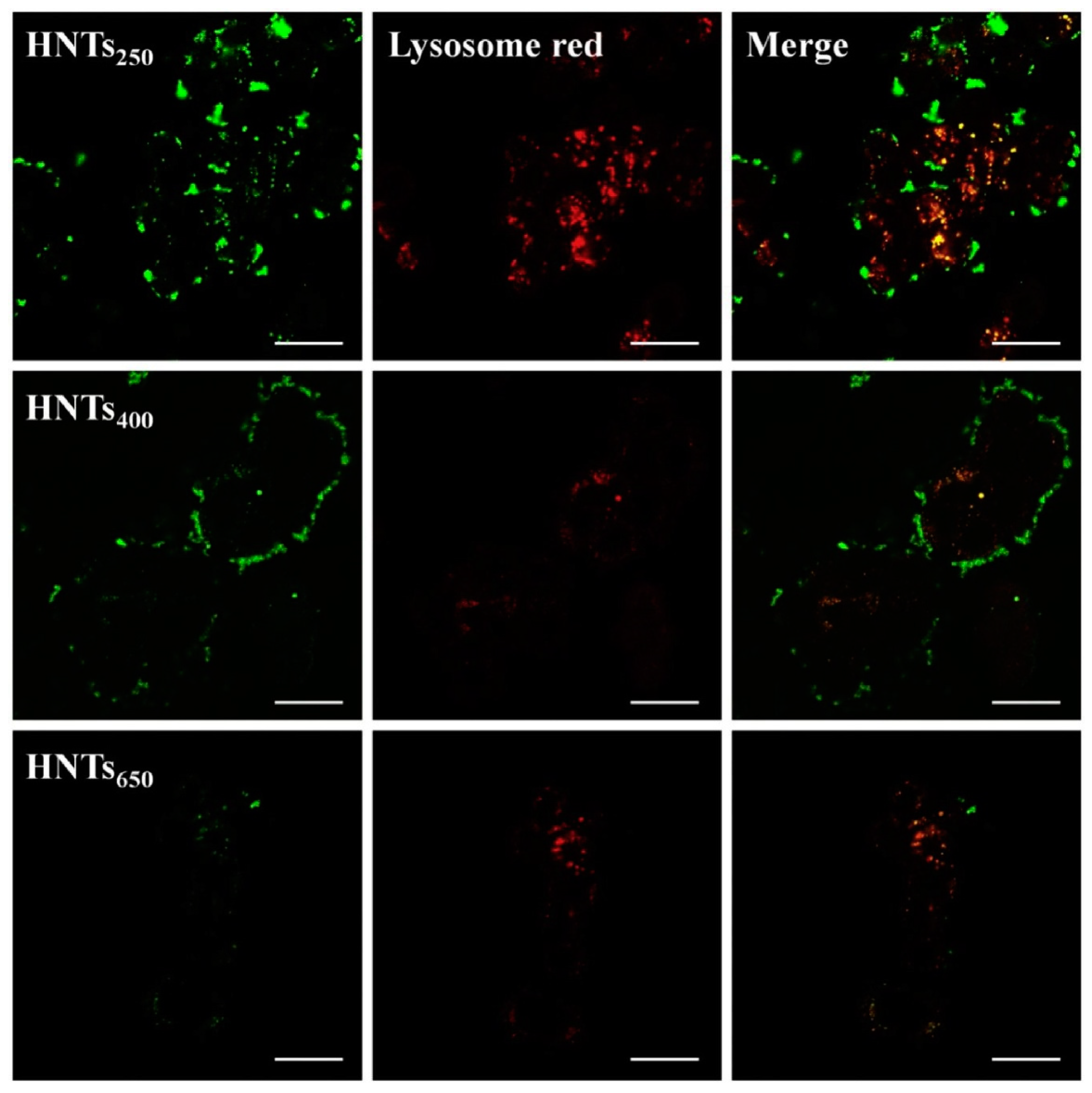 Materials 14 02943 g003