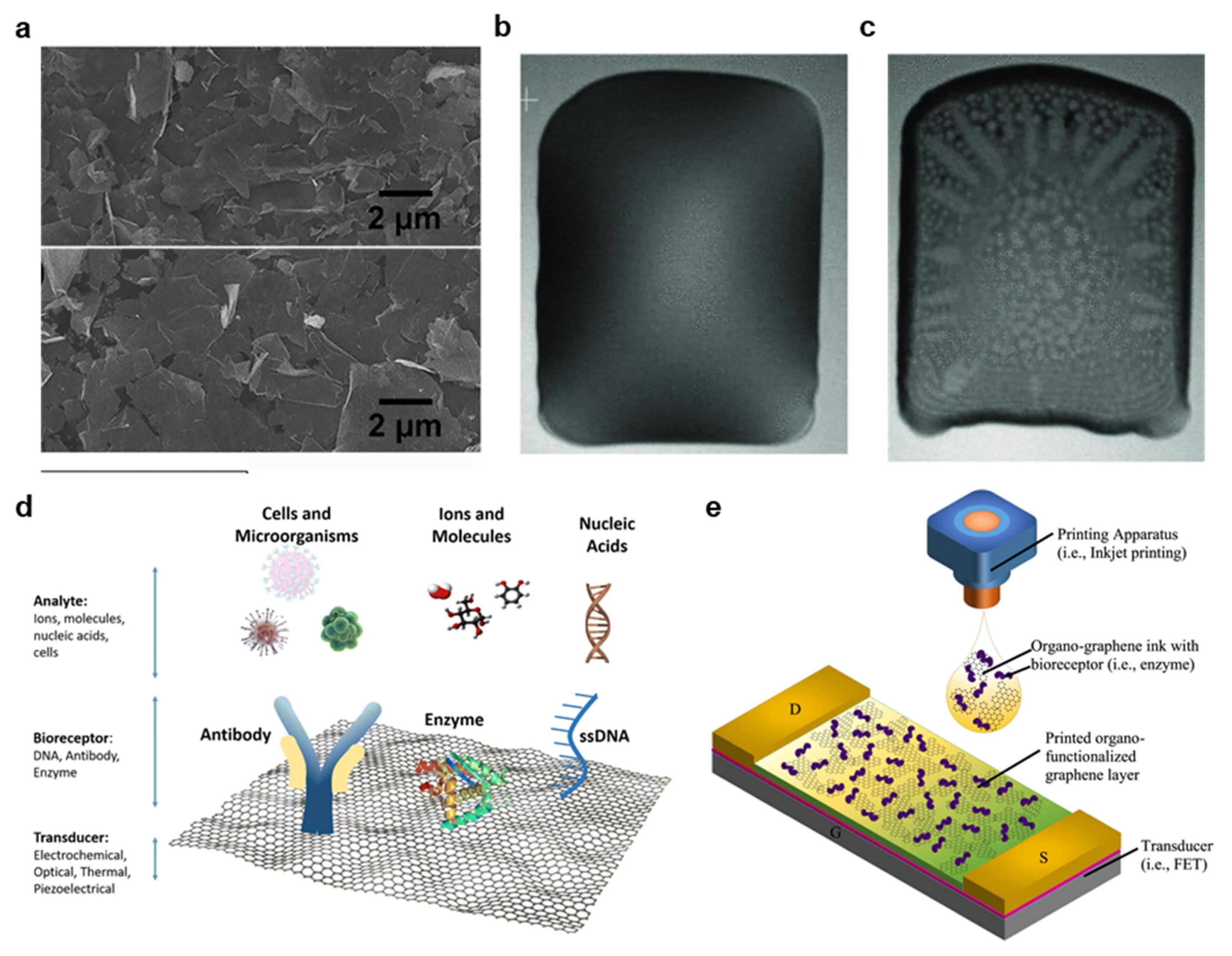 Materials 14 02973 g008