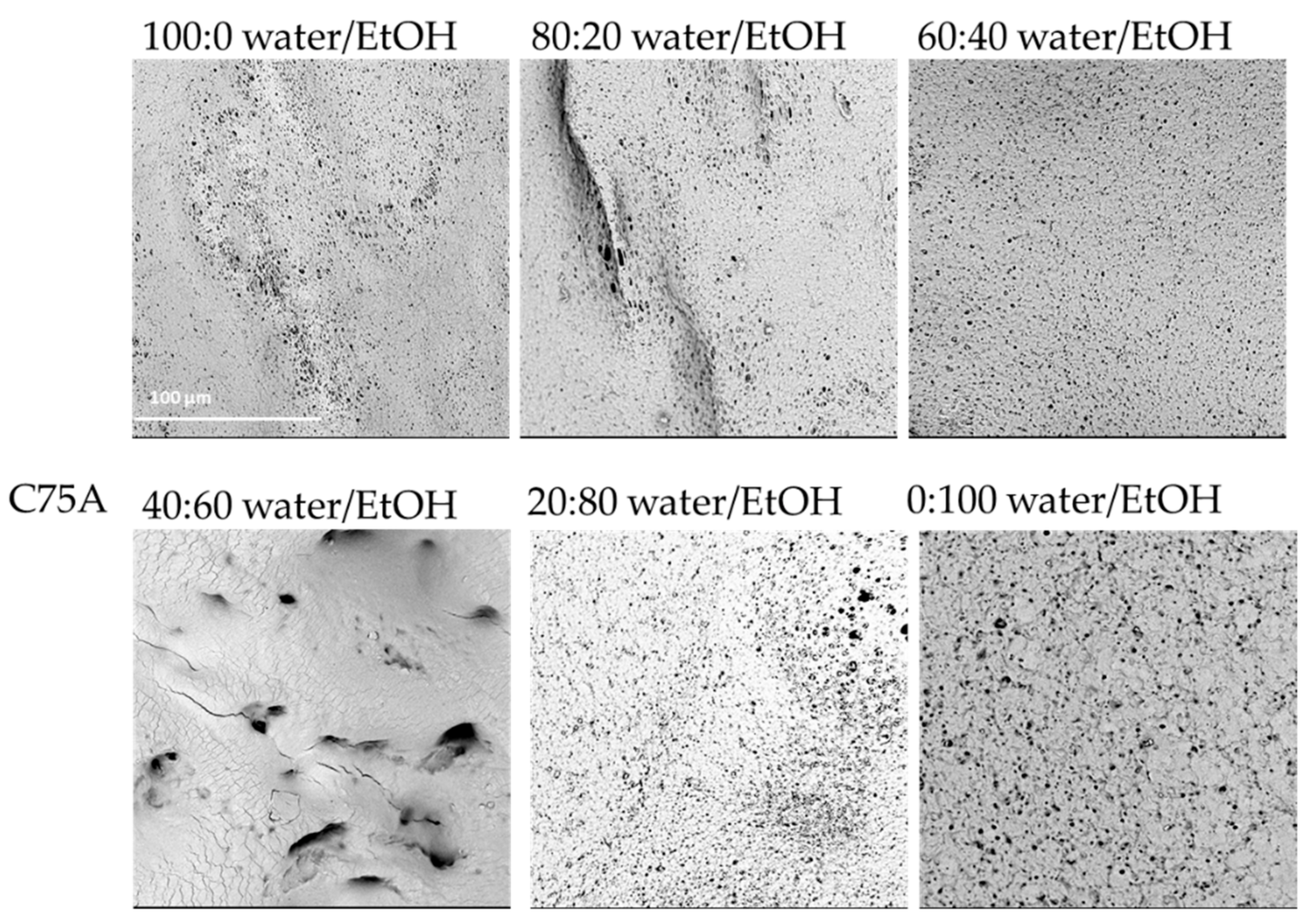 Materials 14 02977 g001