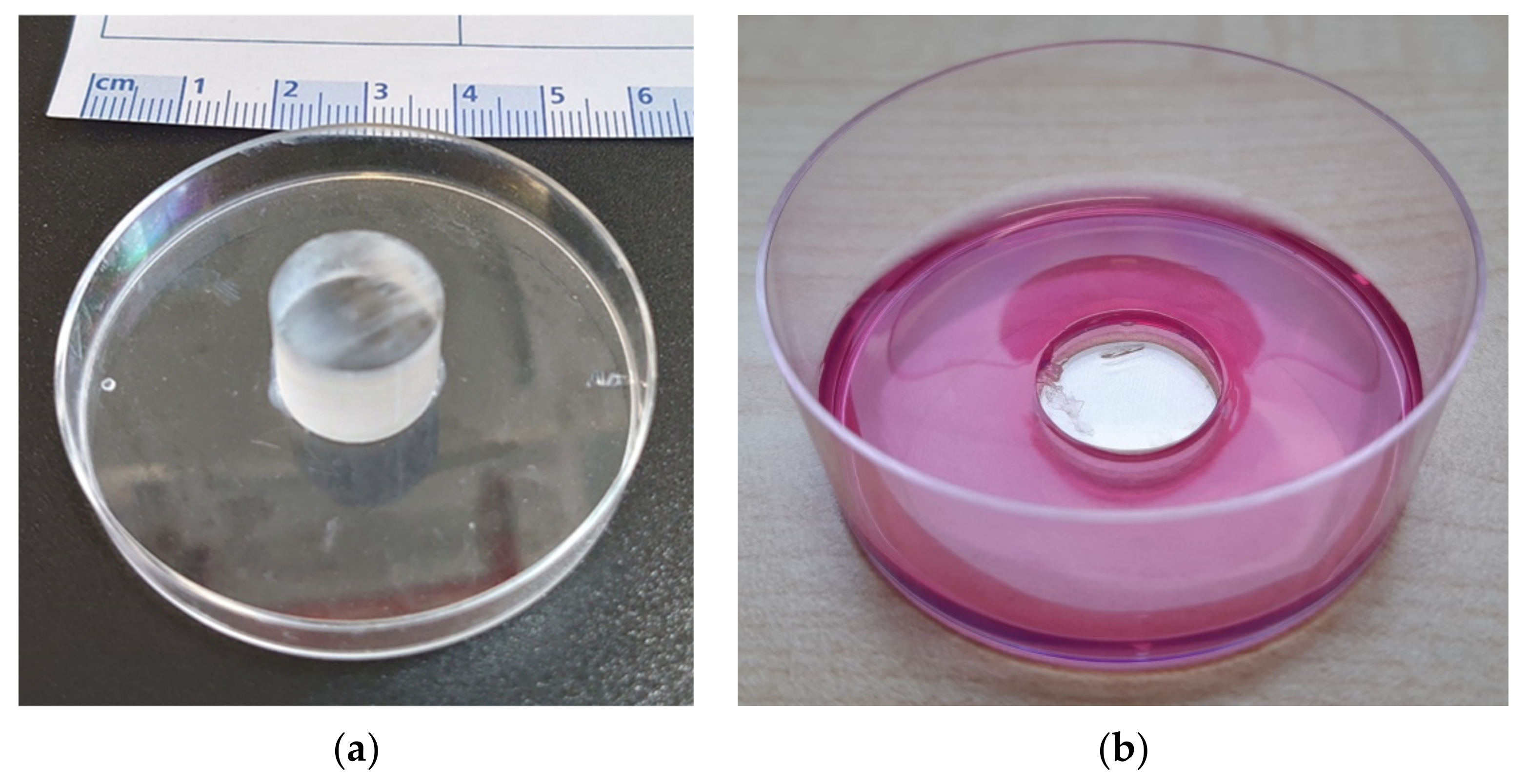 Materials 14 03001 g001