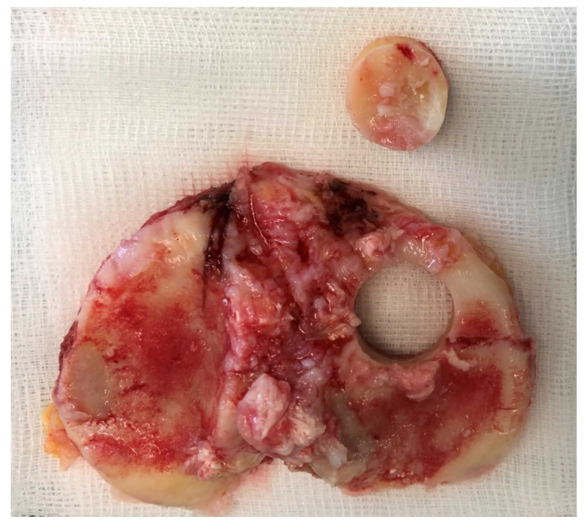 Materials 14 03001 g003