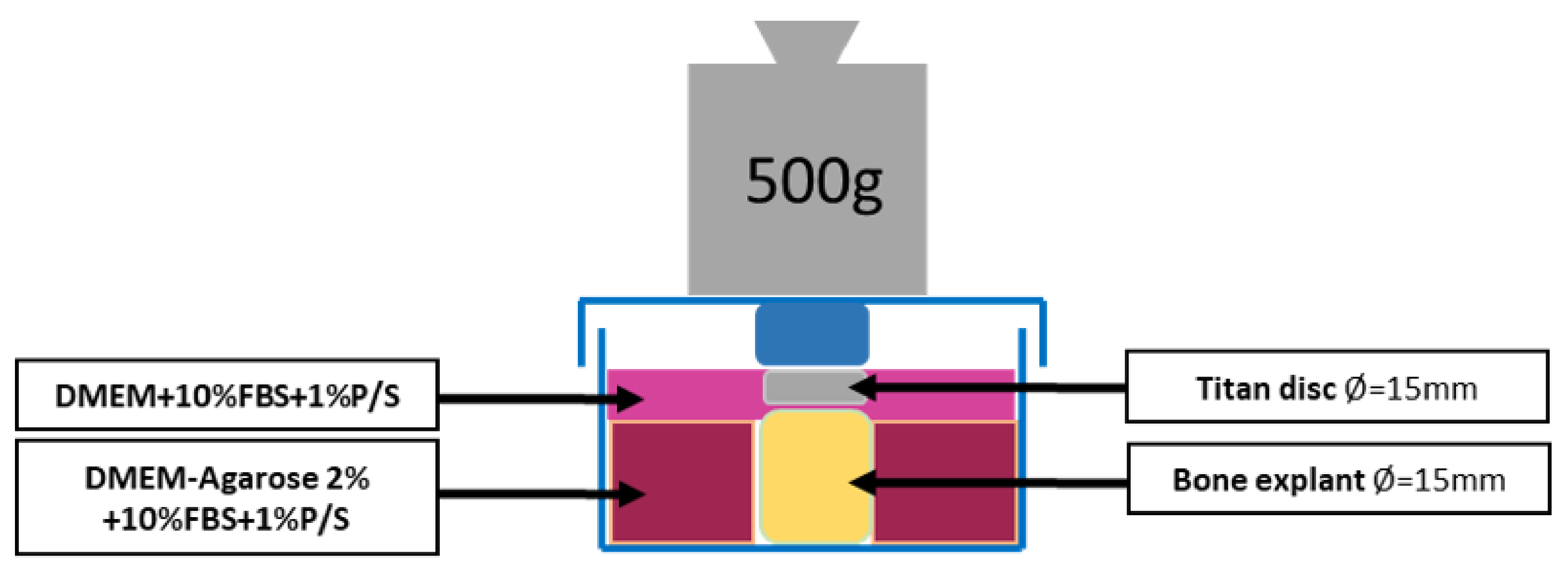Materials 14 03001 g004